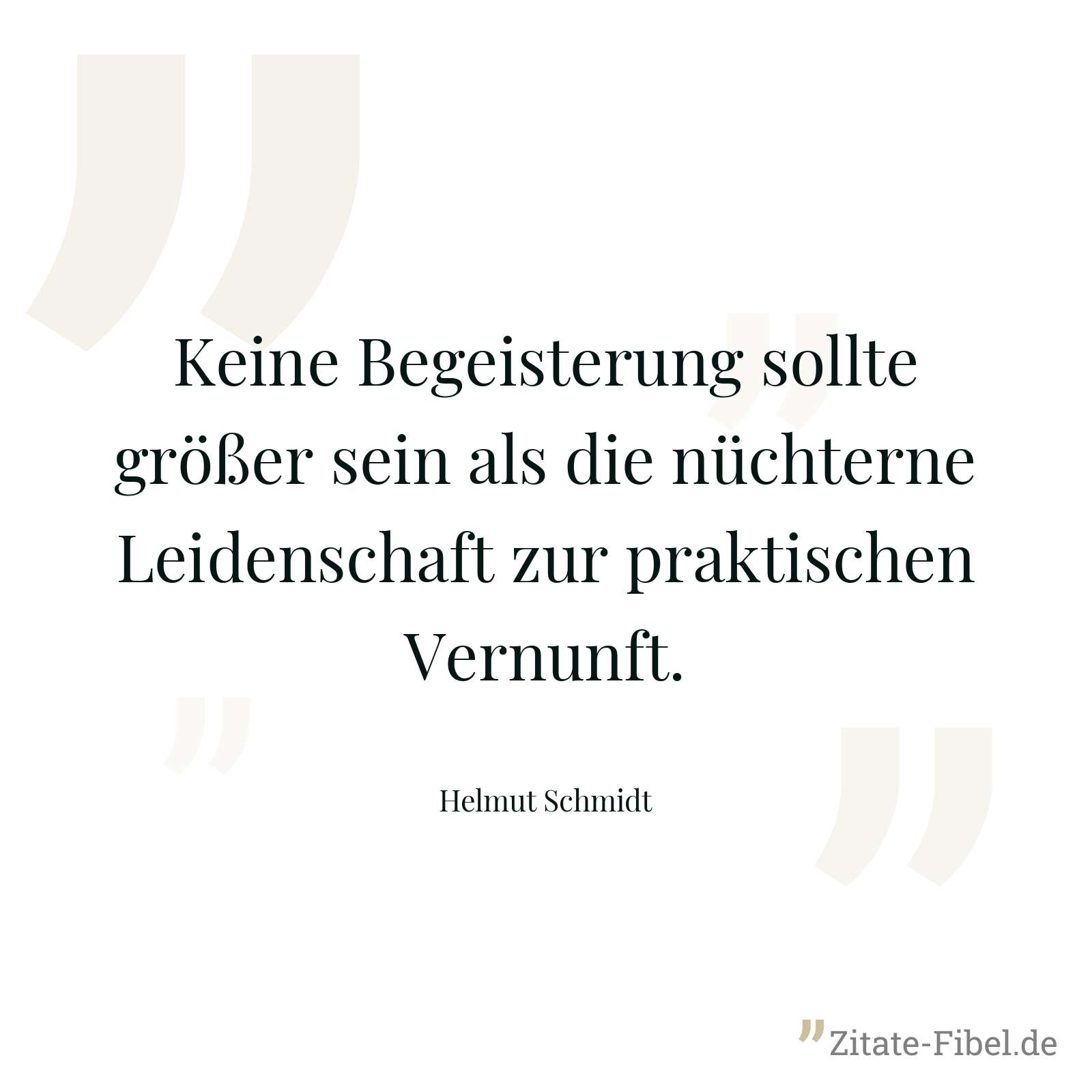 Keine Begeisterung sollte größer sein als die nüchterne Leidenschaft zur praktischen Vernunft. - Helmut Schmidt