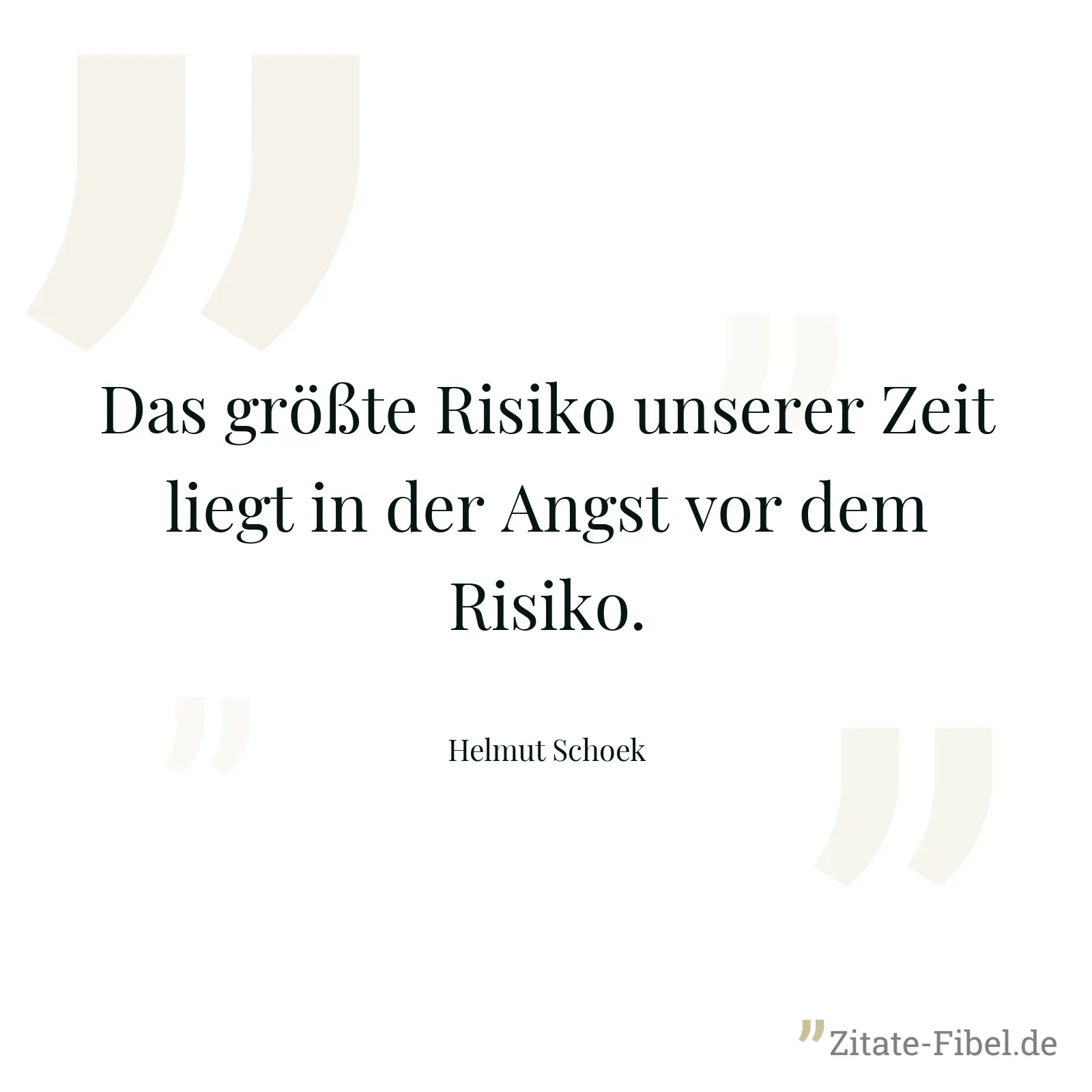 Das größte Risiko unserer Zeit liegt in der Angst vor dem Risiko. - Helmut Schoek