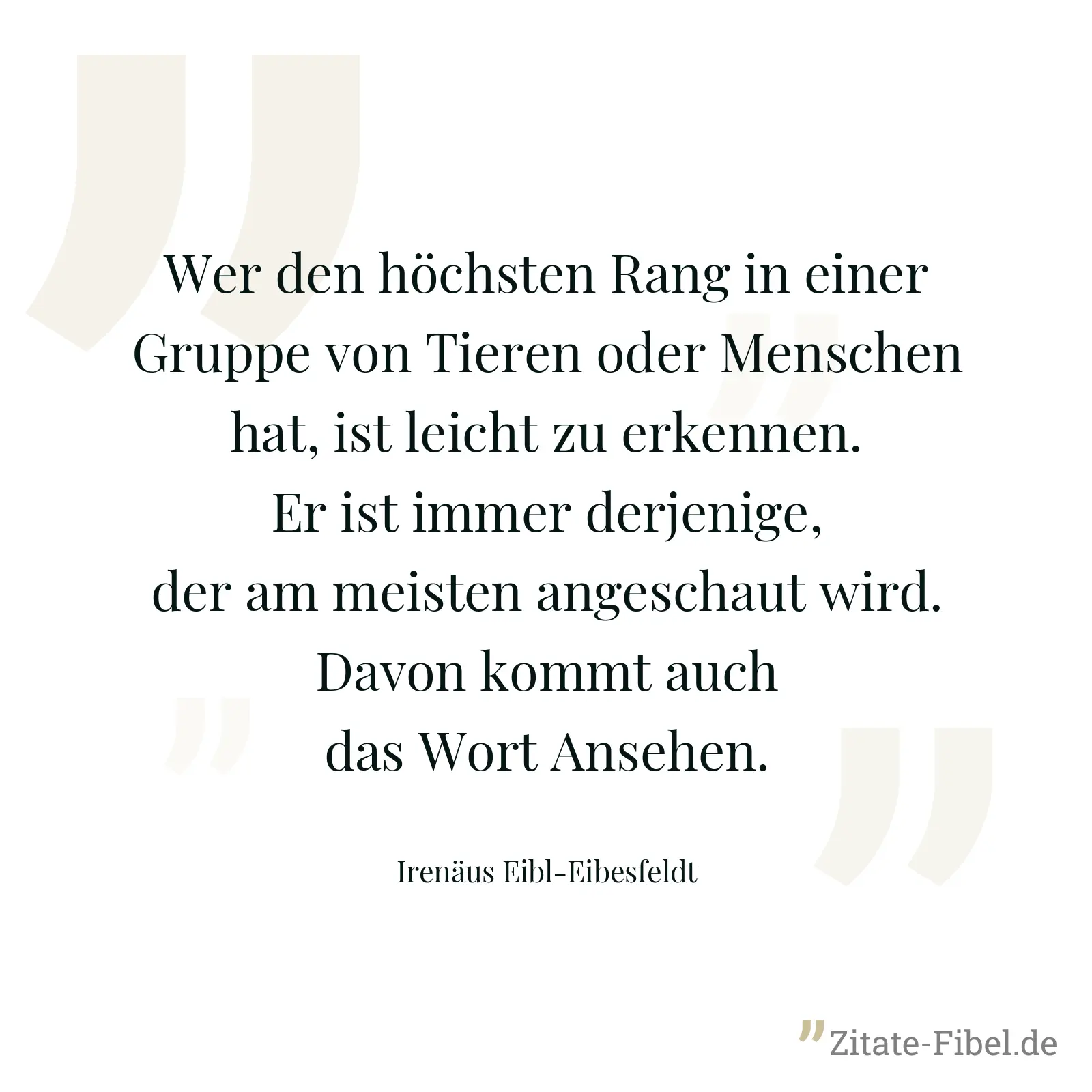 Wer den höchsten Rang in einer Gruppe von Tieren oder Menschen hat, ist leicht zu erkennen. Er ist immer derjenige, der am meisten angeschaut wird. Davon kommt auch das Wort Ansehen. - Irenäus Eibl-Eibesfeldt