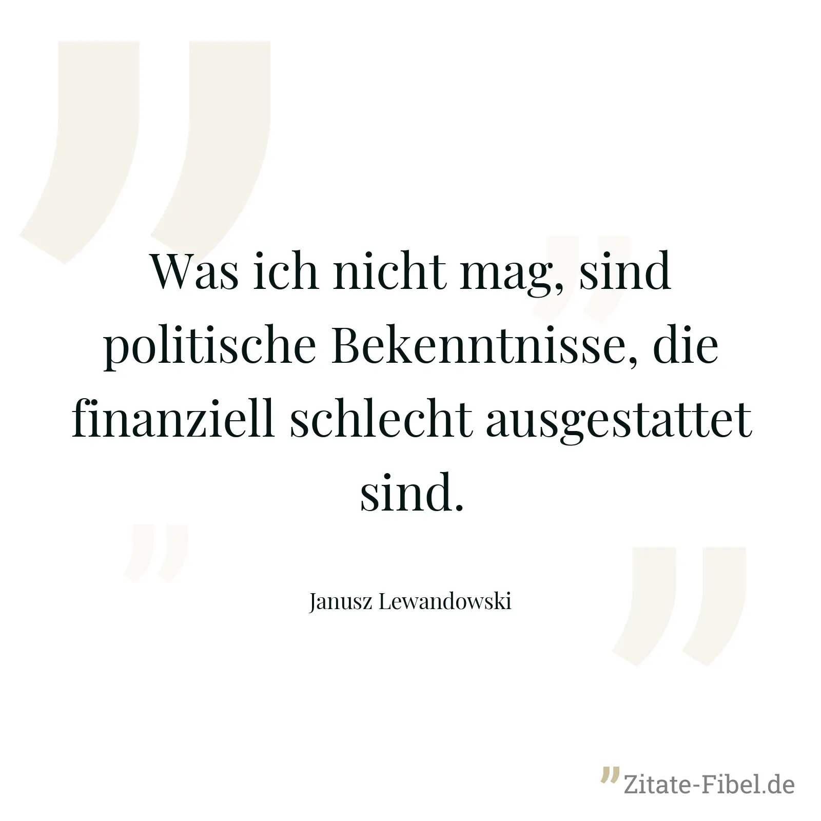 Was ich nicht mag, sind politische Bekenntnisse, die finanziell schlecht ausgestattet sind. - Janusz Lewandowski