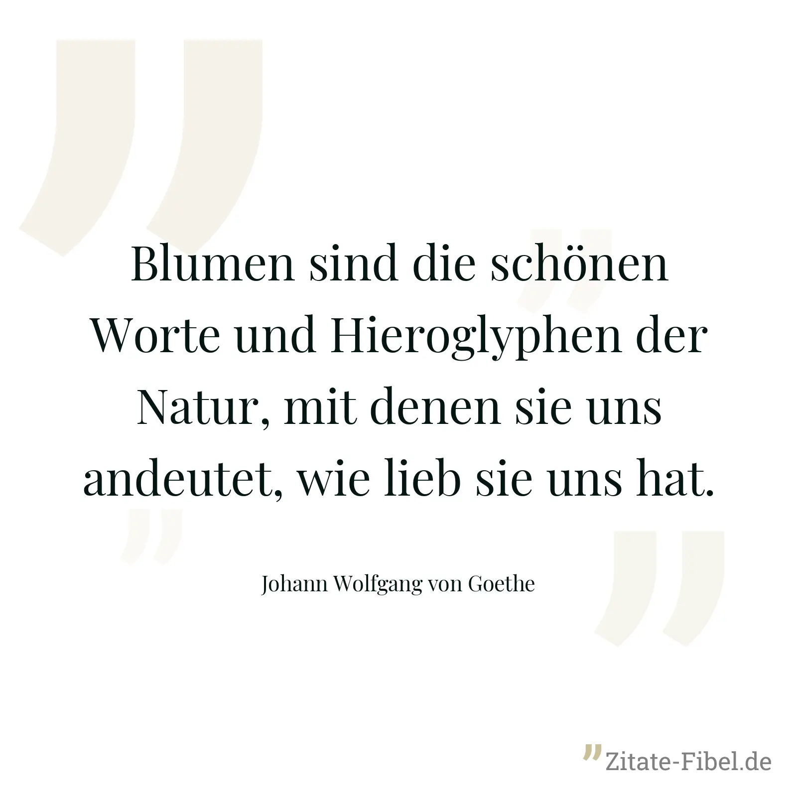 Blumen sind die schönen Worte und Hieroglyphen der Natur, mit denen sie uns andeutet, wie lieb sie uns hat. - Johann Wolfgang von Goethe