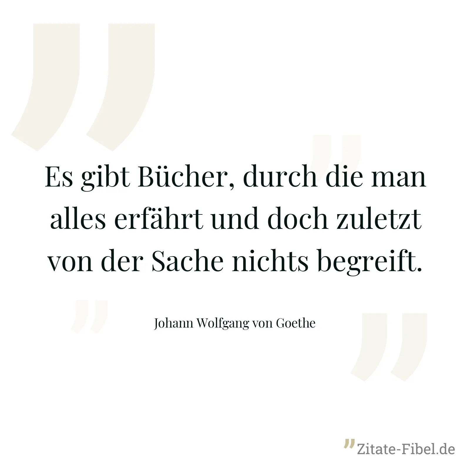 Es gibt Bücher, durch die man alles erfährt und doch zuletzt von der Sache nichts begreift. - Johann Wolfgang von Goethe