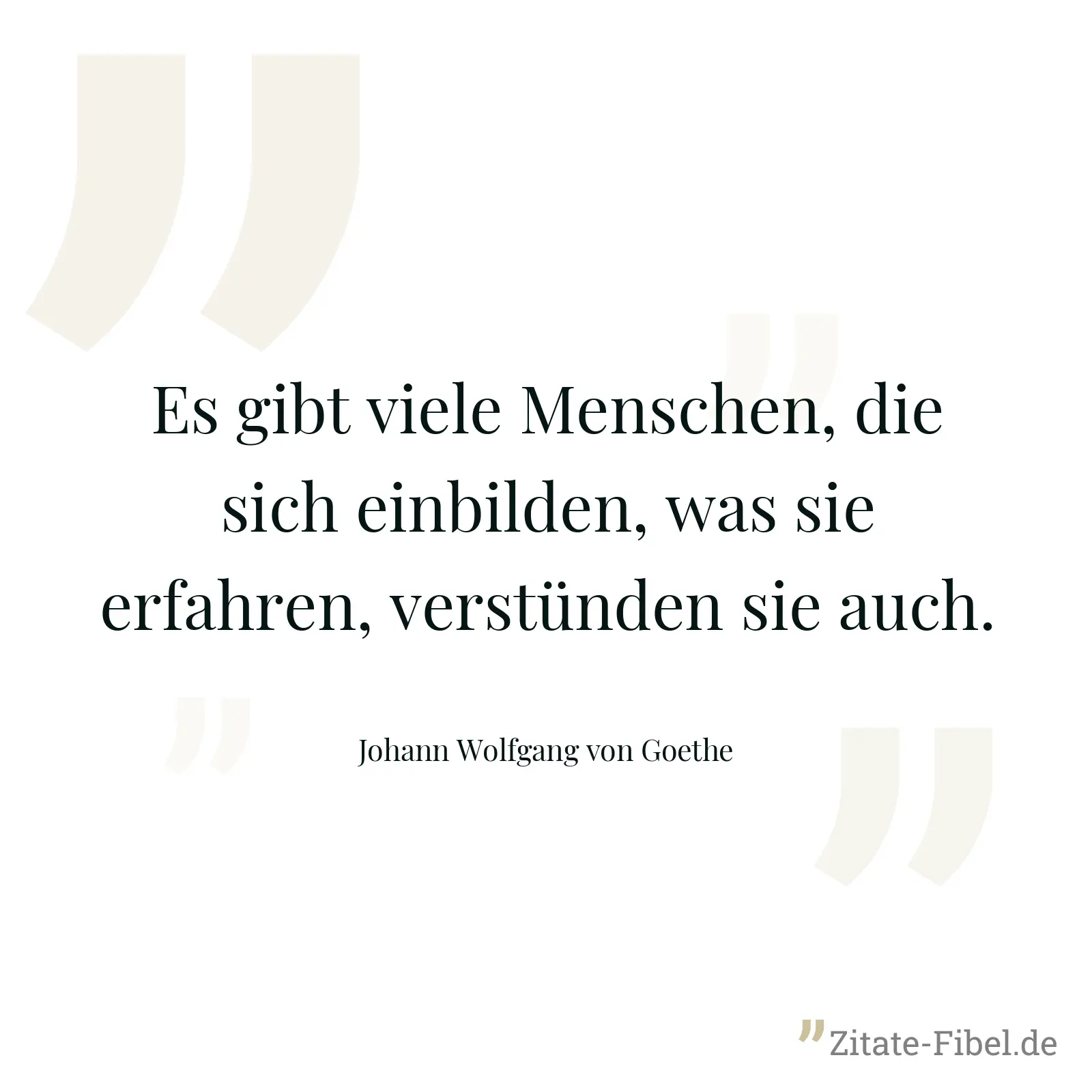 Es gibt viele Menschen, die sich einbilden, was sie erfahren, verstünden sie auch. - Johann Wolfgang von Goethe