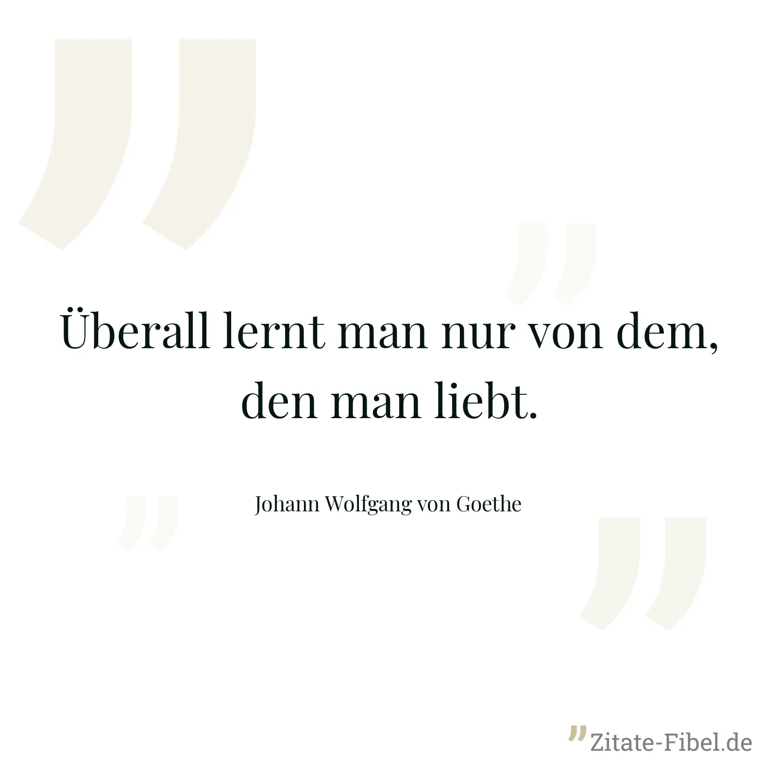 Überall lernt man nur von dem, den man liebt. - Johann Wolfgang von Goethe