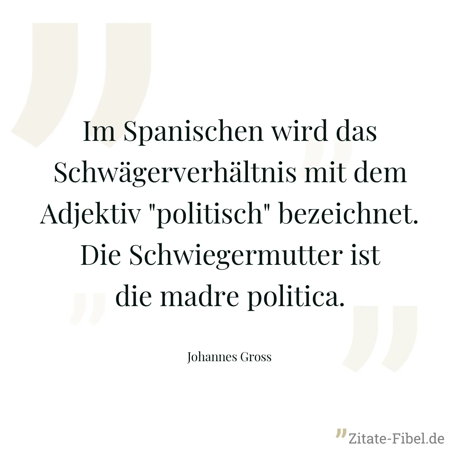 Im Spanischen wird das Schwägerverhältnis mit dem Adjektiv "politisch" bezeichnet. Die Schwiegermutter ist die madre politica. - Johannes Gross