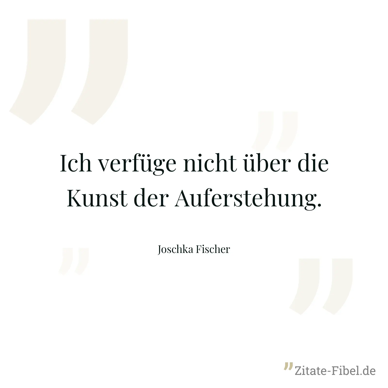 Ich verfüge nicht über die Kunst der Auferstehung. - Joschka Fischer