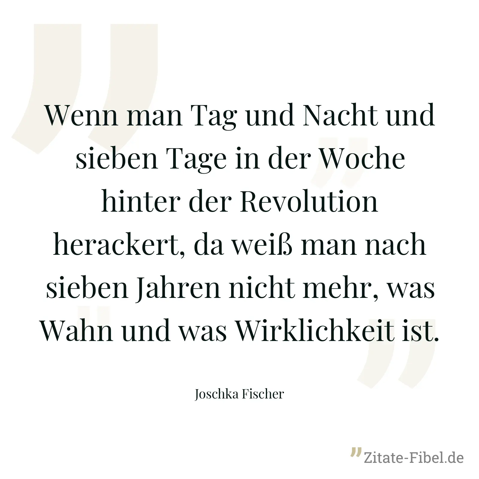 Wenn man Tag und Nacht und sieben Tage in der Woche hinter der Revolution herackert, da weiß man nach sieben Jahren nicht mehr, was Wahn und was Wirklichkeit ist. - Joschka Fischer
