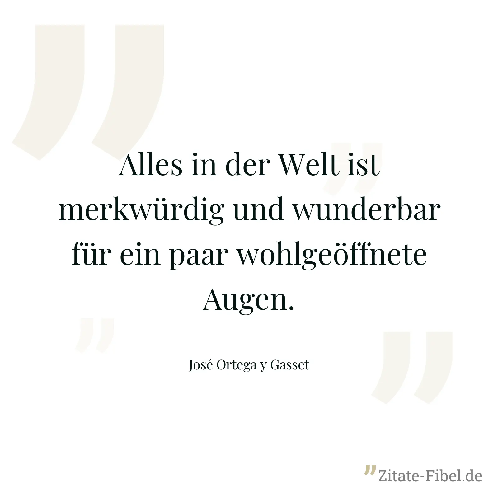 Alles in der Welt ist merkwürdig und wunderbar für ein paar wohlgeöffnete Augen. - José Ortega y Gasset