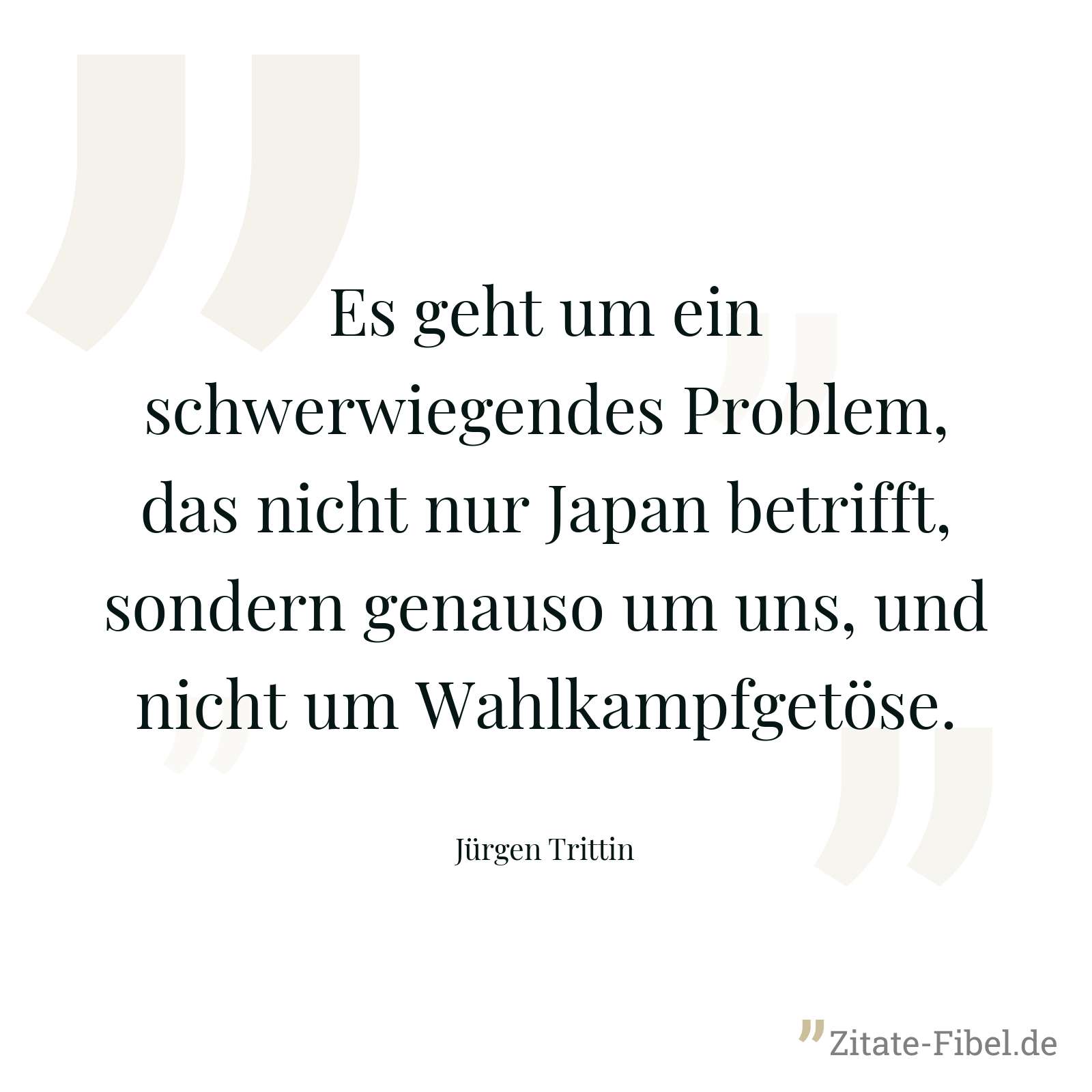 Es geht um ein schwerwiegendes Problem, das nicht nur Japan betrifft, sondern genauso um uns, und nicht um Wahlkampfgetöse. - Jürgen Trittin