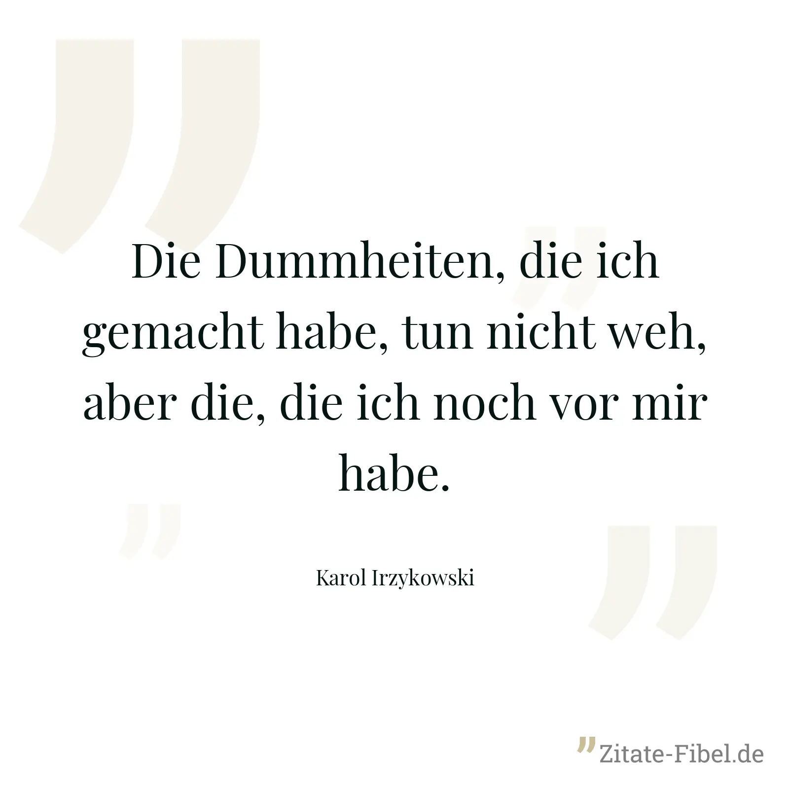 Die Dummheiten, die ich gemacht habe, tun nicht weh, aber die, die ich noch vor mir habe. - Karol Irzykowski