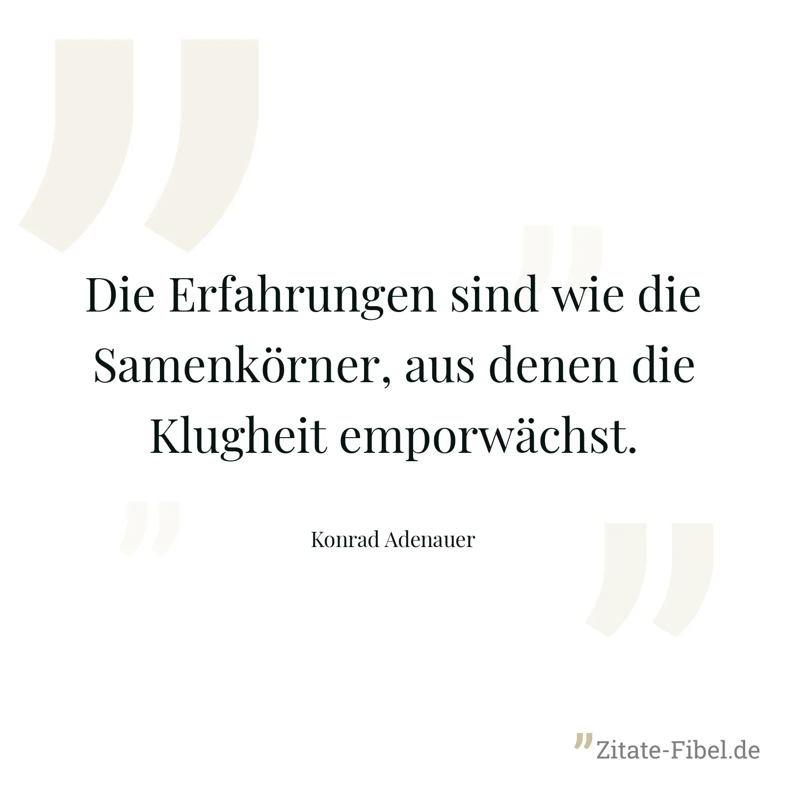 Die Erfahrungen sind wie die Samenkörner, aus denen die Klugheit emporwächst. - Konrad Adenauer