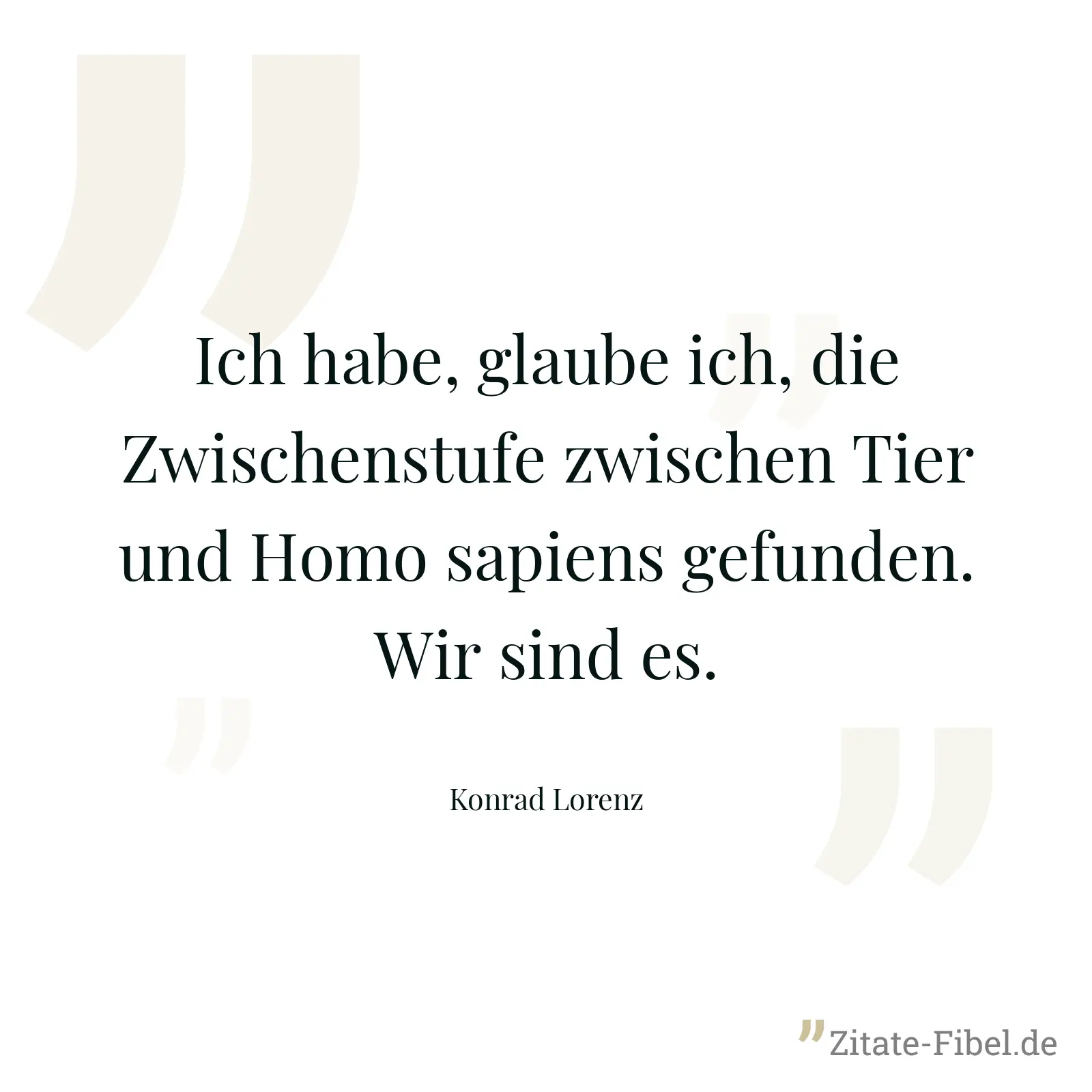 Ich habe, glaube ich, die Zwischenstufe zwischen Tier und Homo sapiens gefunden. Wir sind es. - Konrad Lorenz