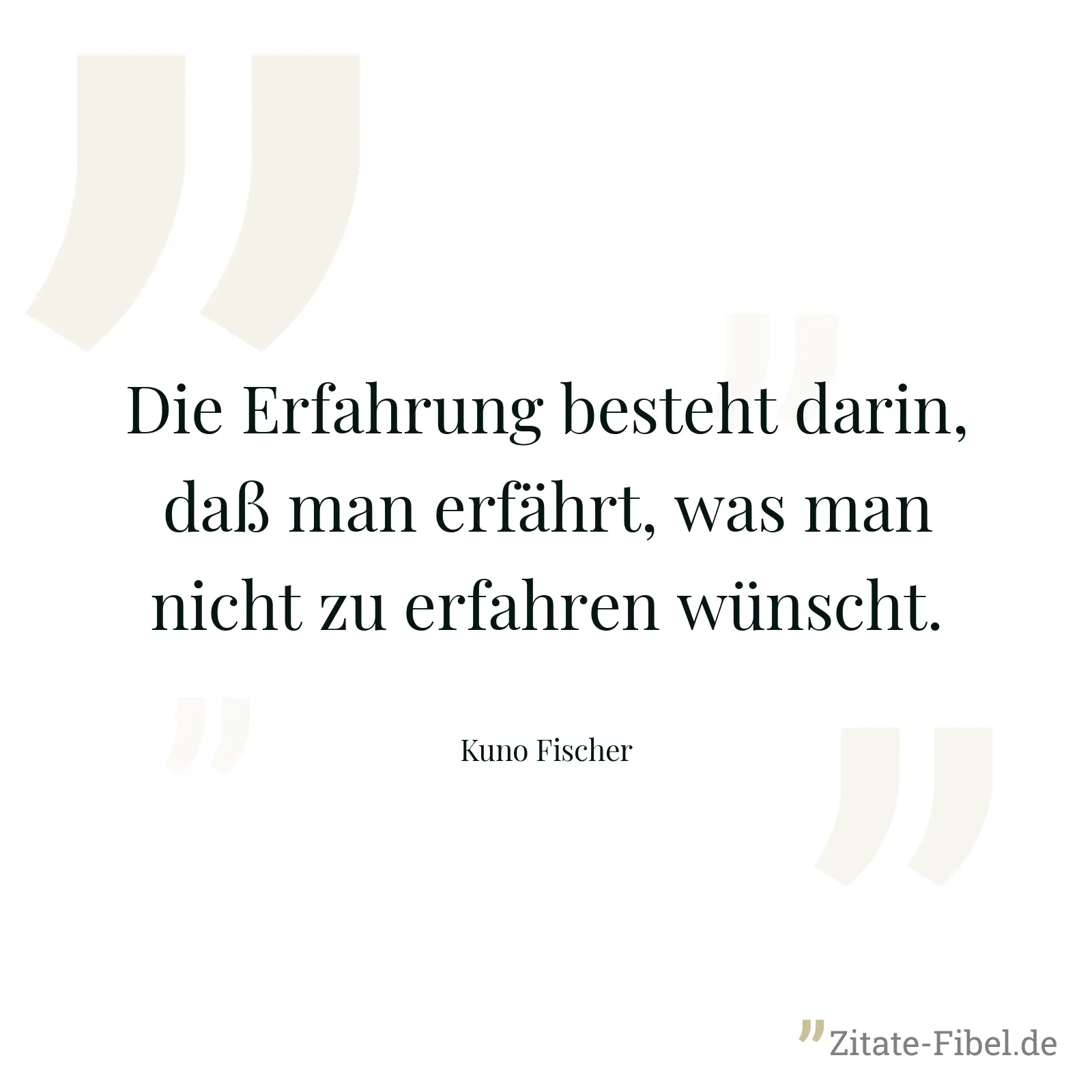 Die Erfahrung besteht darin, daß man erfährt, was man nicht zu erfahren wünscht. - Kuno Fischer