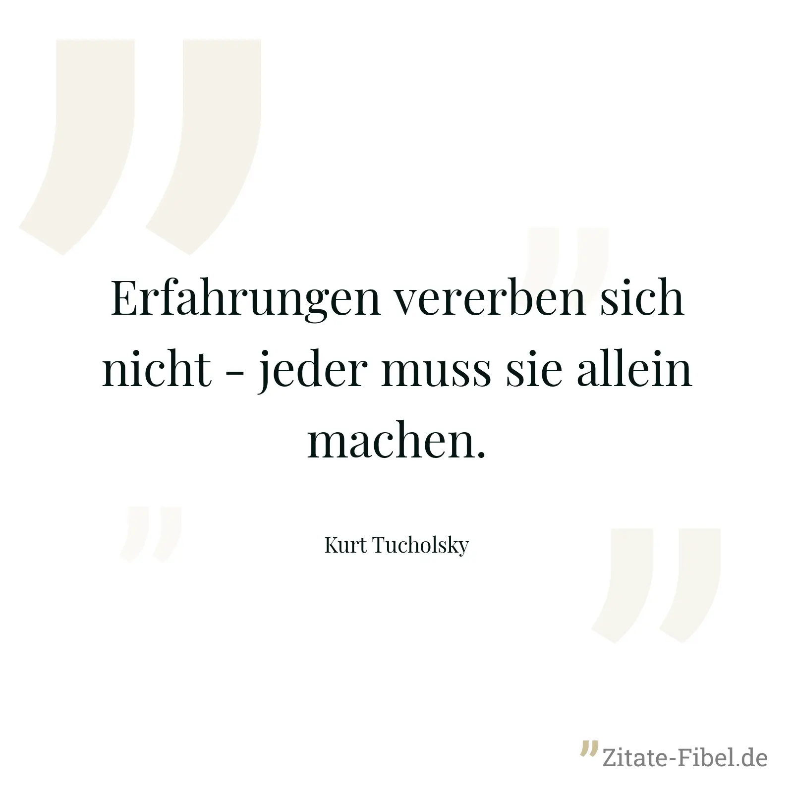 Erfahrungen vererben sich nicht - jeder muss sie allein machen. - Kurt Tucholsky