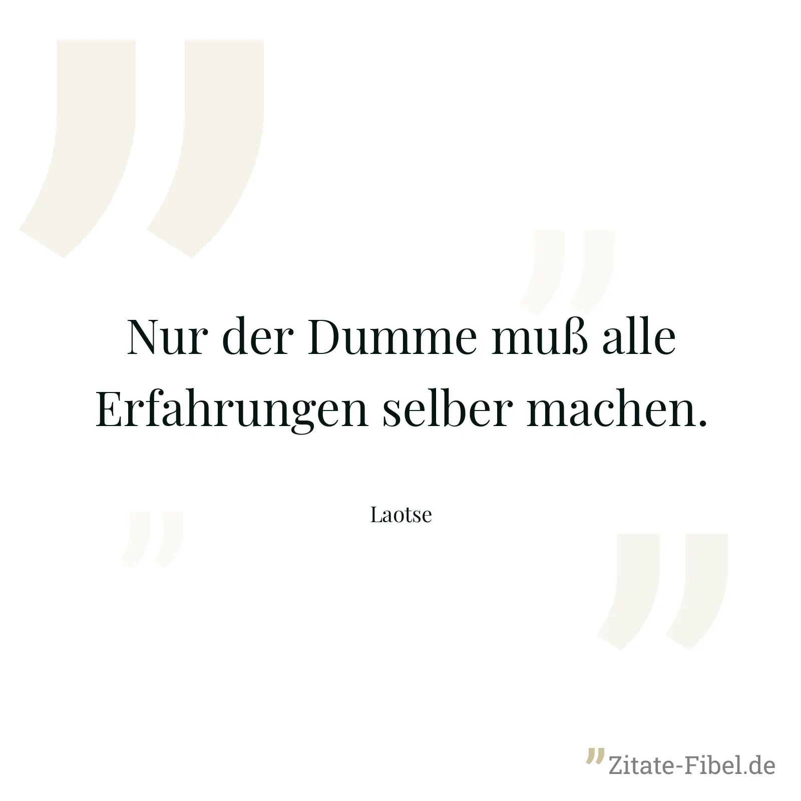Nur der Dumme muß alle Erfahrungen selber machen. - Laotse