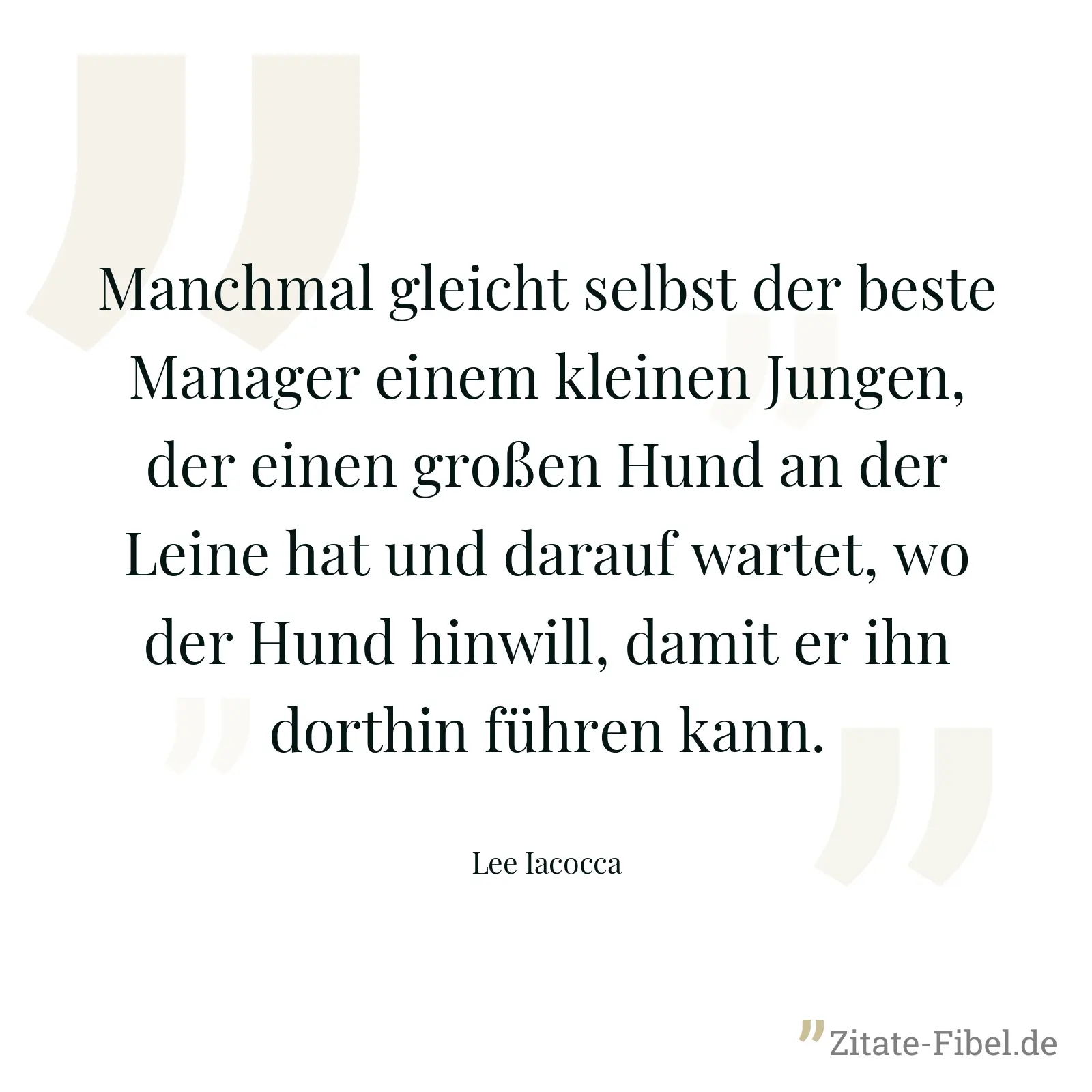 Manchmal gleicht selbst der beste Manager einem kleinen Jungen, der einen großen Hund an der Leine hat und darauf wartet, wo der Hund hinwill, damit er ihn dorthin führen kann. - Lee Iacocca