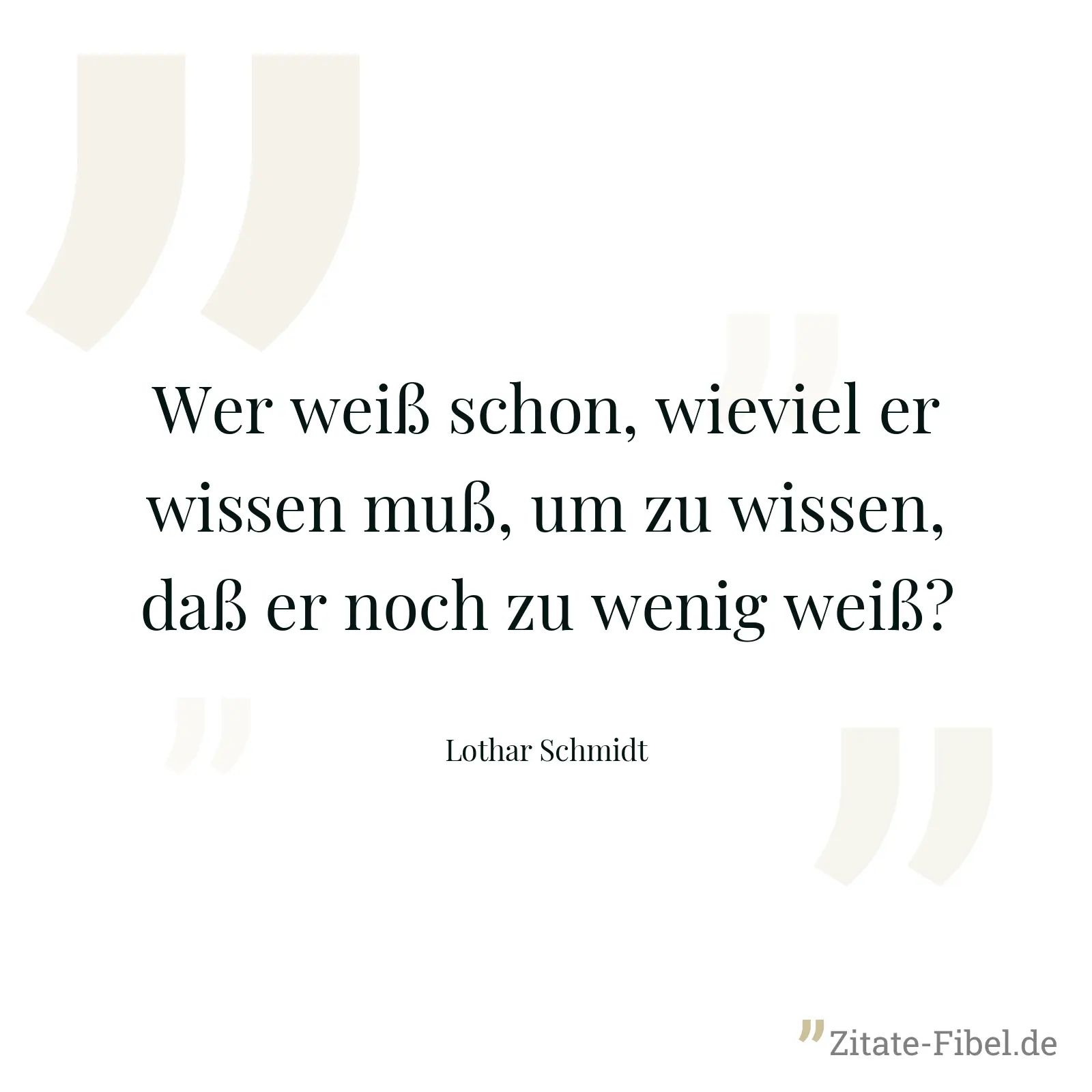 Wer weiß schon, wieviel er wissen muß, um zu wissen, daß er noch zu wenig weiß? - Lothar Schmidt