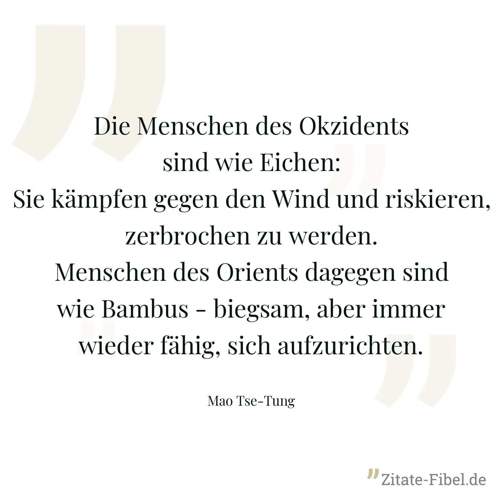 Die Menschen des Okzidents sind wie Eichen: Sie kämpfen gegen den Wind und riskieren, zerbrochen zu werden. Menschen des Orients dagegen sind wie Bambus - biegsam, aber immer wieder fähig, sich aufzurichten. - Mao Tse-Tung