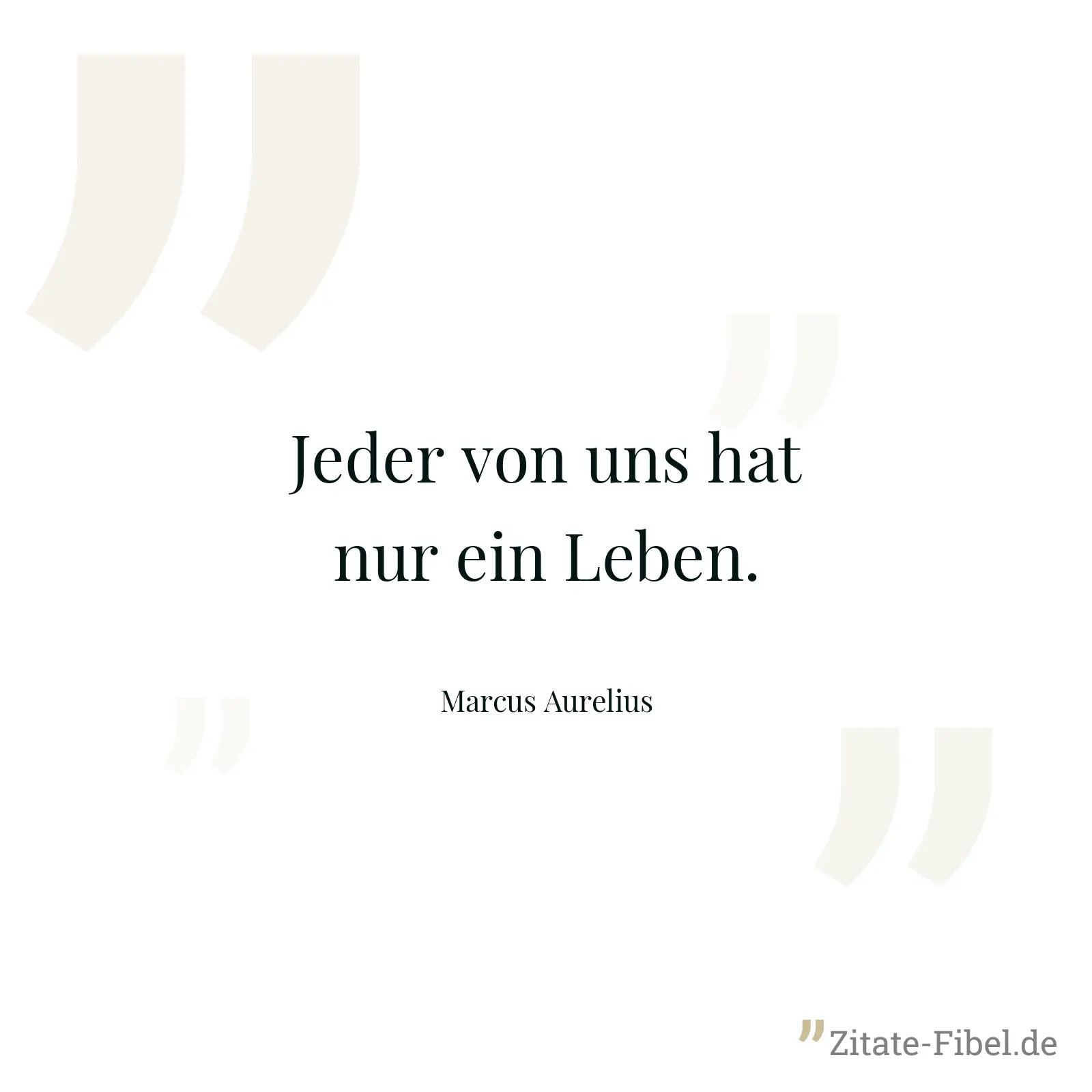 Jeder von uns hat nur ein Leben. - Marcus Aurelius