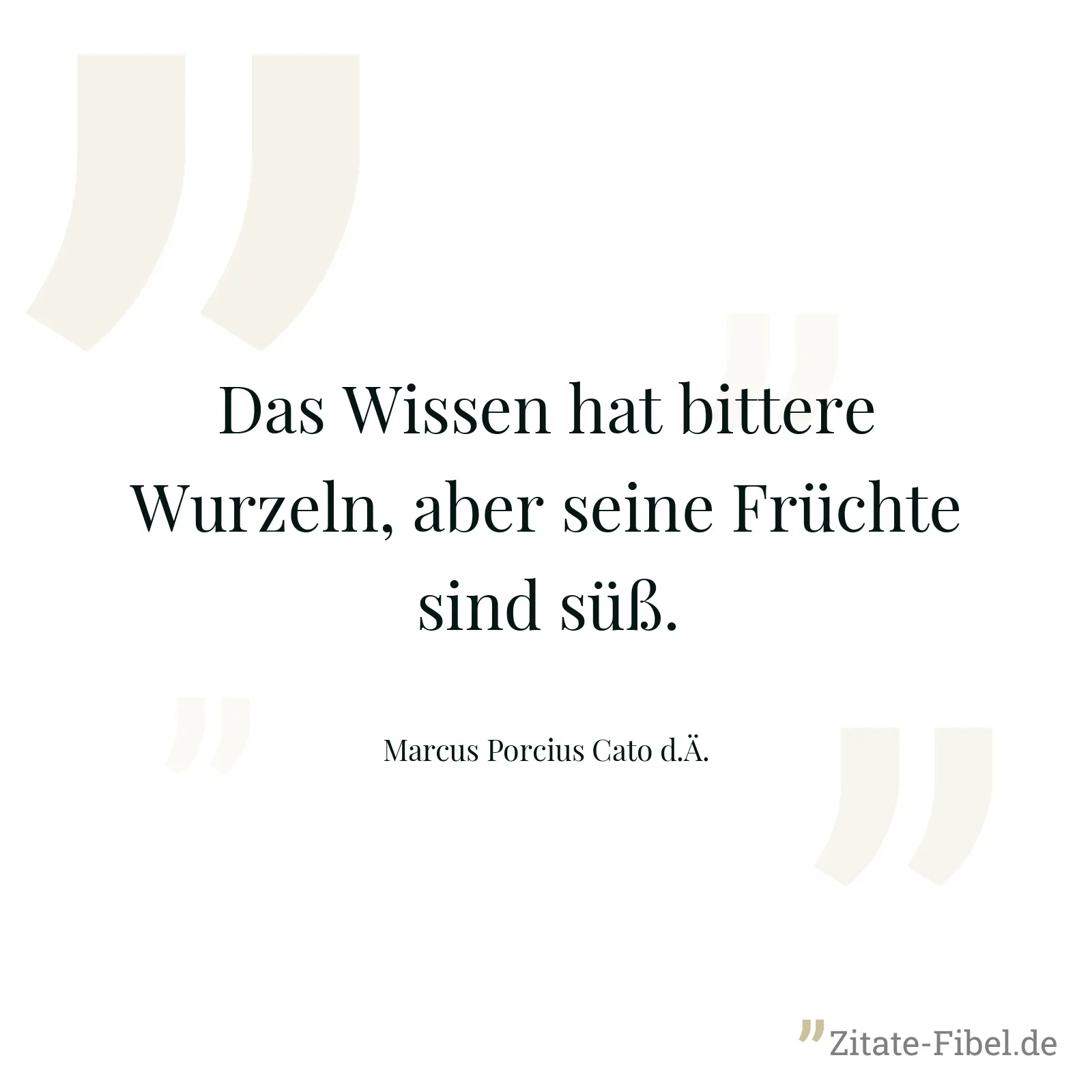 Das Wissen hat bittere Wurzeln, aber seine Früchte sind süß. - Marcus Porcius Cato d.Ä.