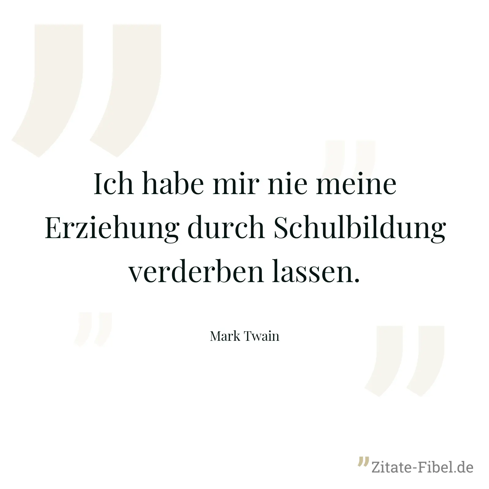 Ich habe mir nie meine Erziehung durch Schulbildung verderben lassen. - Mark Twain