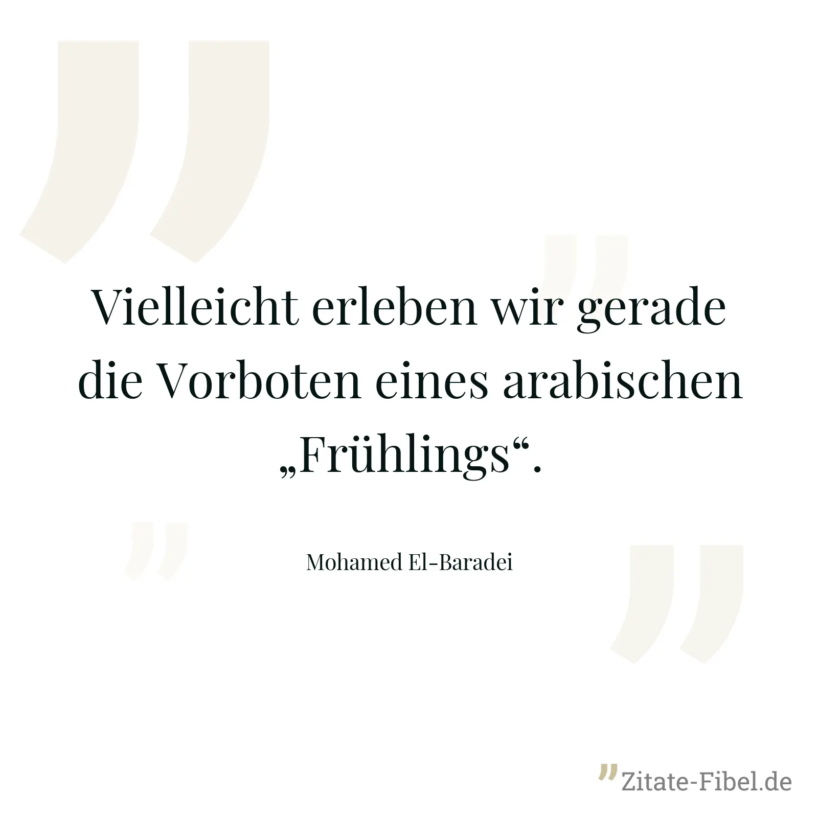 Vielleicht erleben wir gerade die Vorboten eines arabischen „Frühlings“. - Mohamed El-Baradei