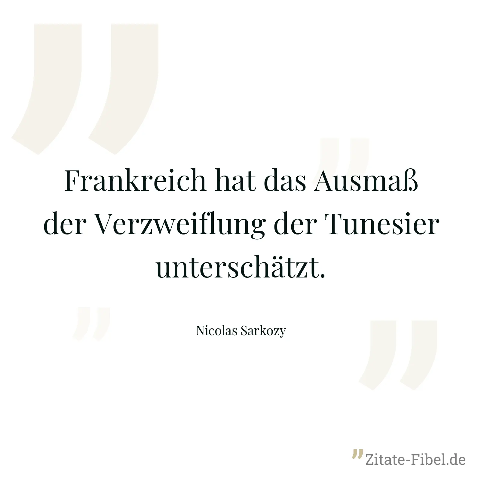 Frankreich hat das Ausmaß der Verzweiflung der Tunesier unterschätzt. - Nicolas Sarkozy