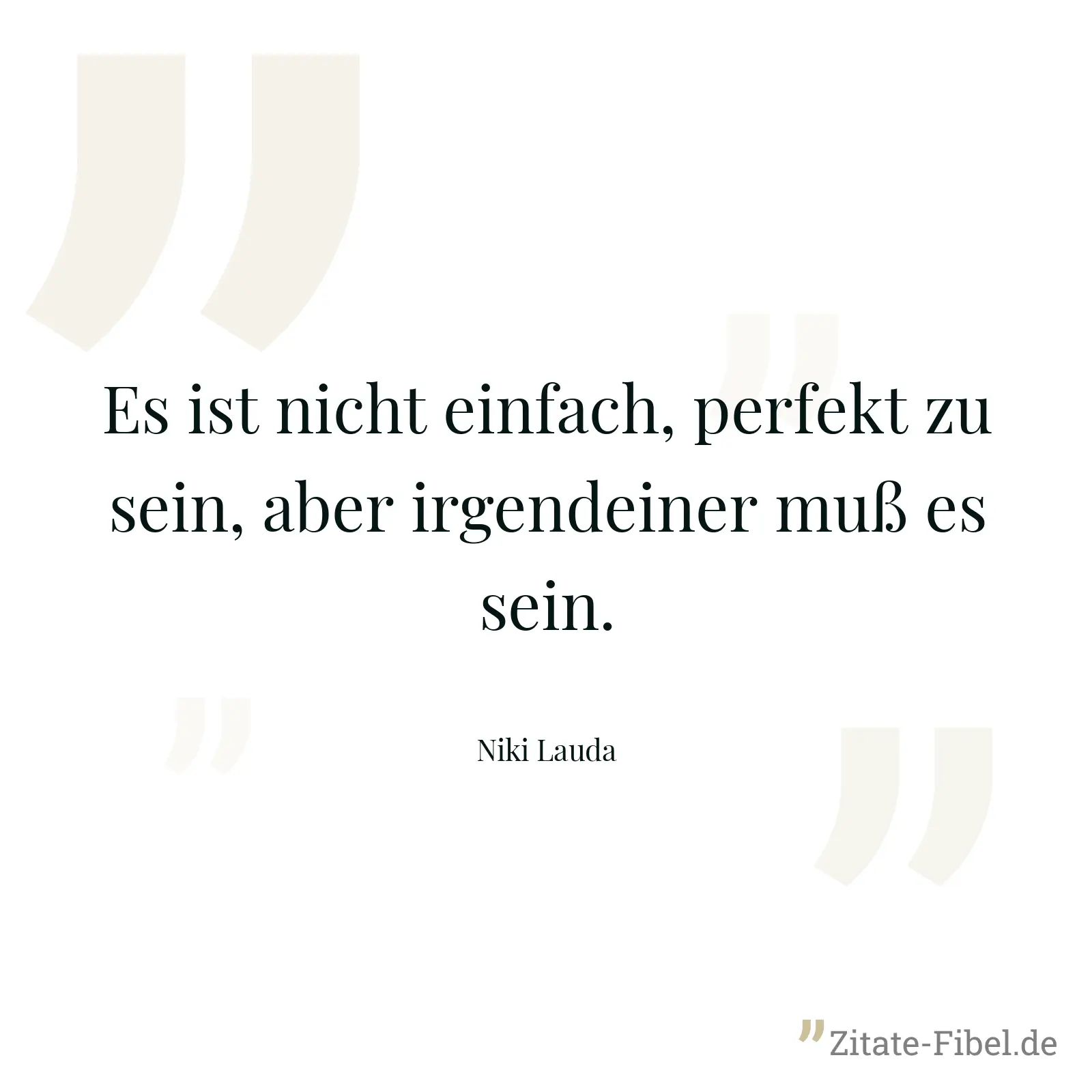 Es ist nicht einfach, perfekt zu sein, aber irgendeiner muß es sein. - Niki Lauda