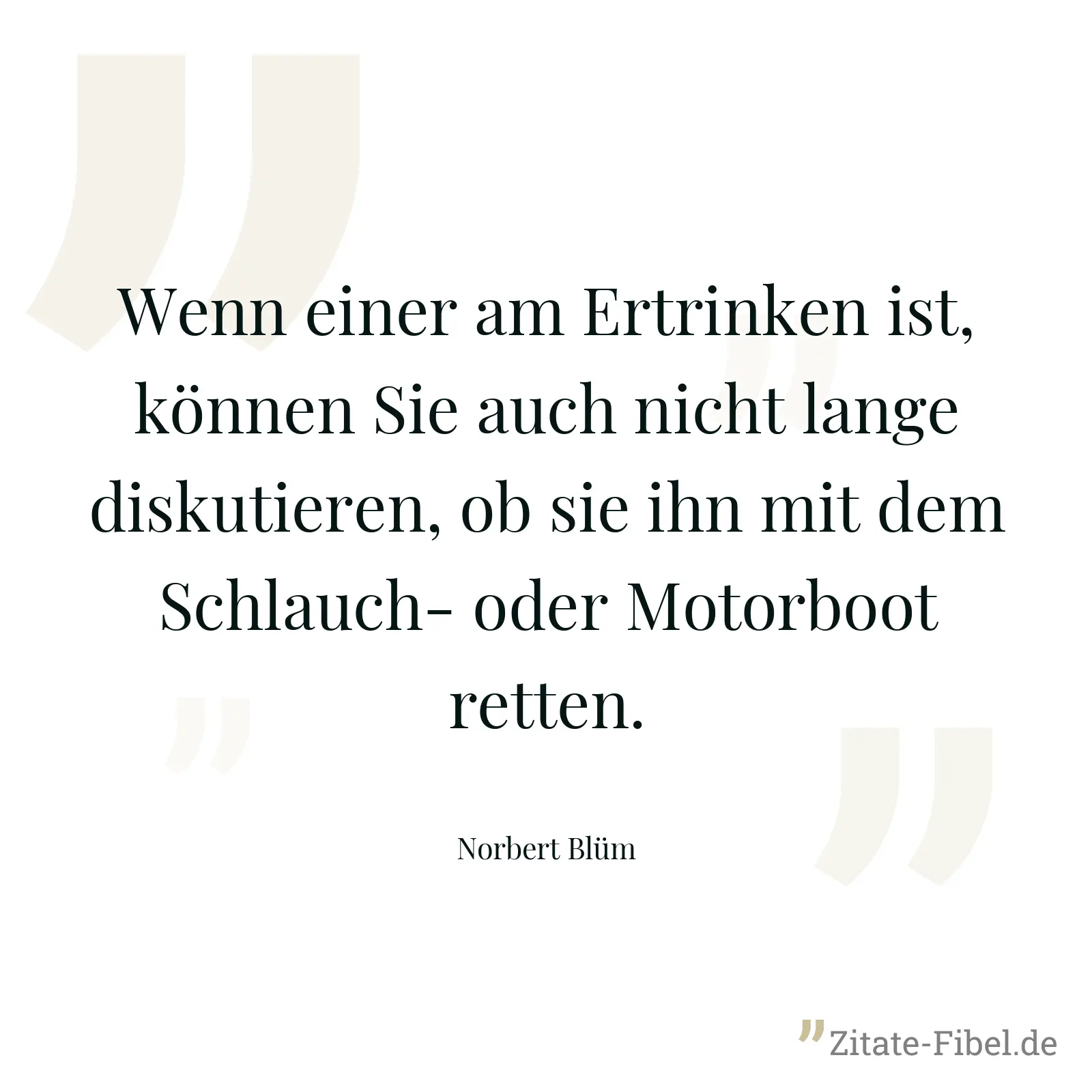 Wenn einer am Ertrinken ist, können Sie auch nicht lange diskutieren, ob sie ihn mit dem Schlauch- oder Motorboot retten. - Norbert Blüm