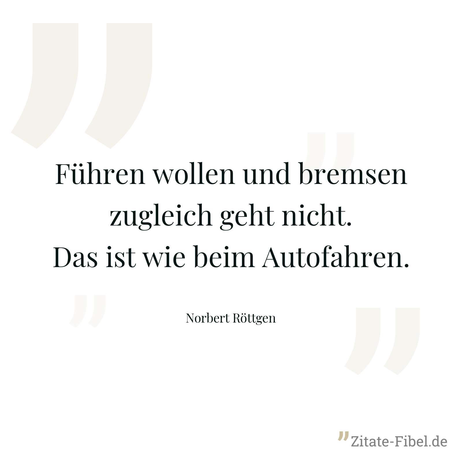 Führen wollen und bremsen zugleich geht nicht. Das ist wie beim Autofahren. - Norbert Röttgen