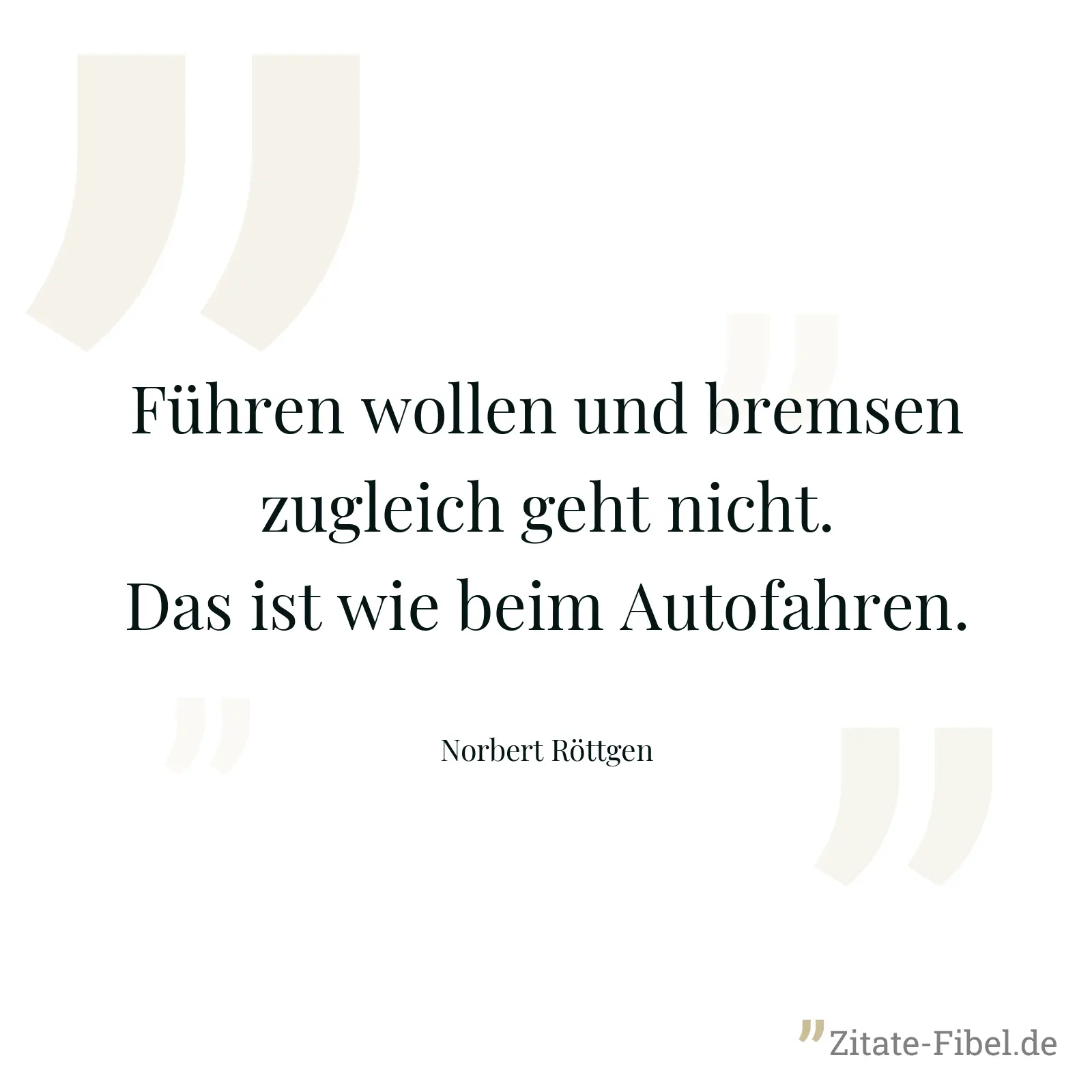 Führen wollen und bremsen zugleich geht nicht. Das ist wie beim Autofahren. - Norbert Röttgen