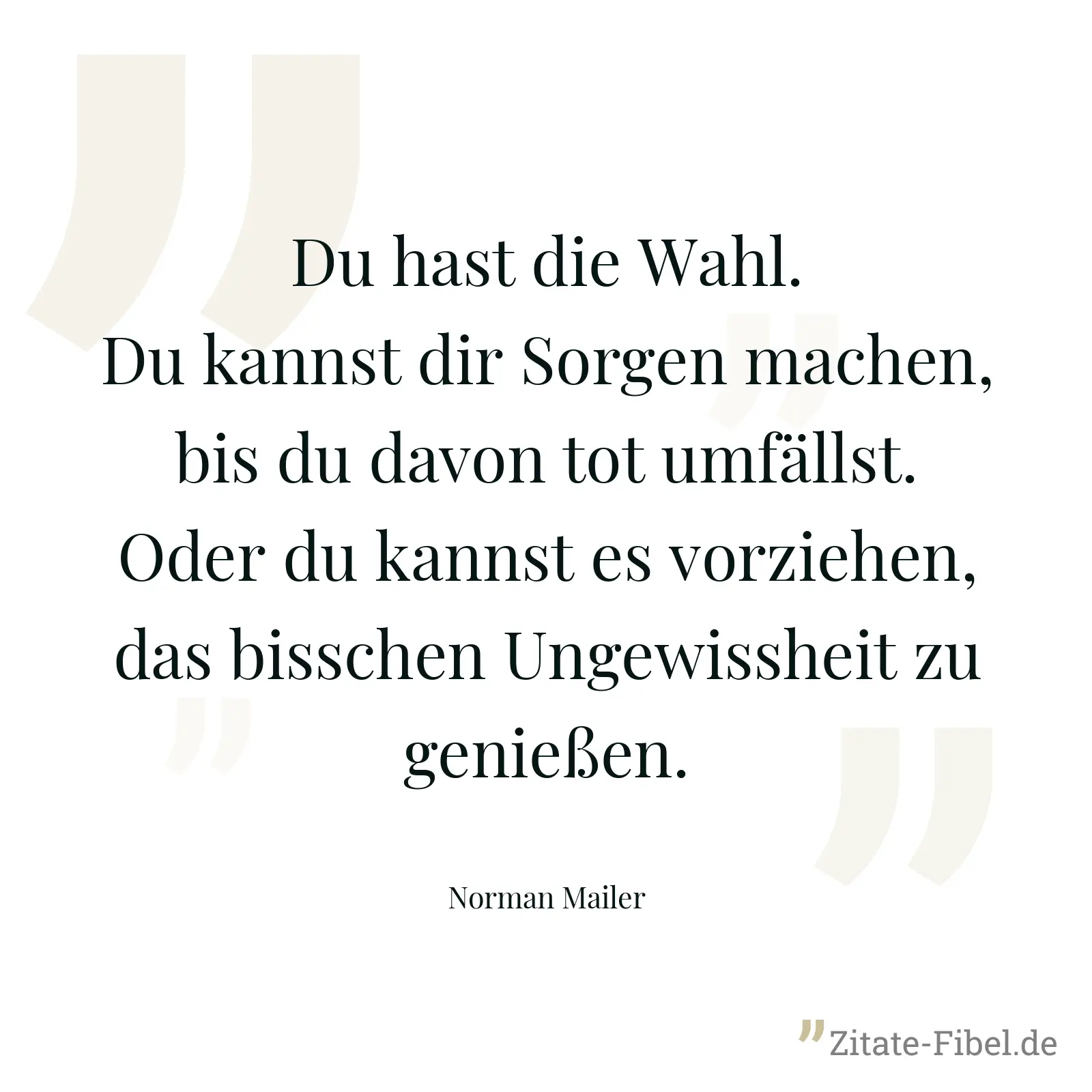 Du hast die Wahl. Du kannst dir Sorgen machen, bis du davon tot umfällst. Oder du kannst es vorziehen, das bisschen Ungewissheit zu genießen. - Norman Mailer