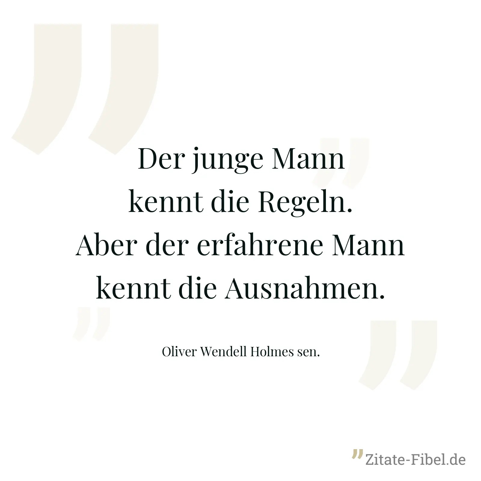 Der junge Mann kennt die Regeln. Aber der erfahrene Mann kennt die Ausnahmen. - Oliver Wendell Holmes sen.