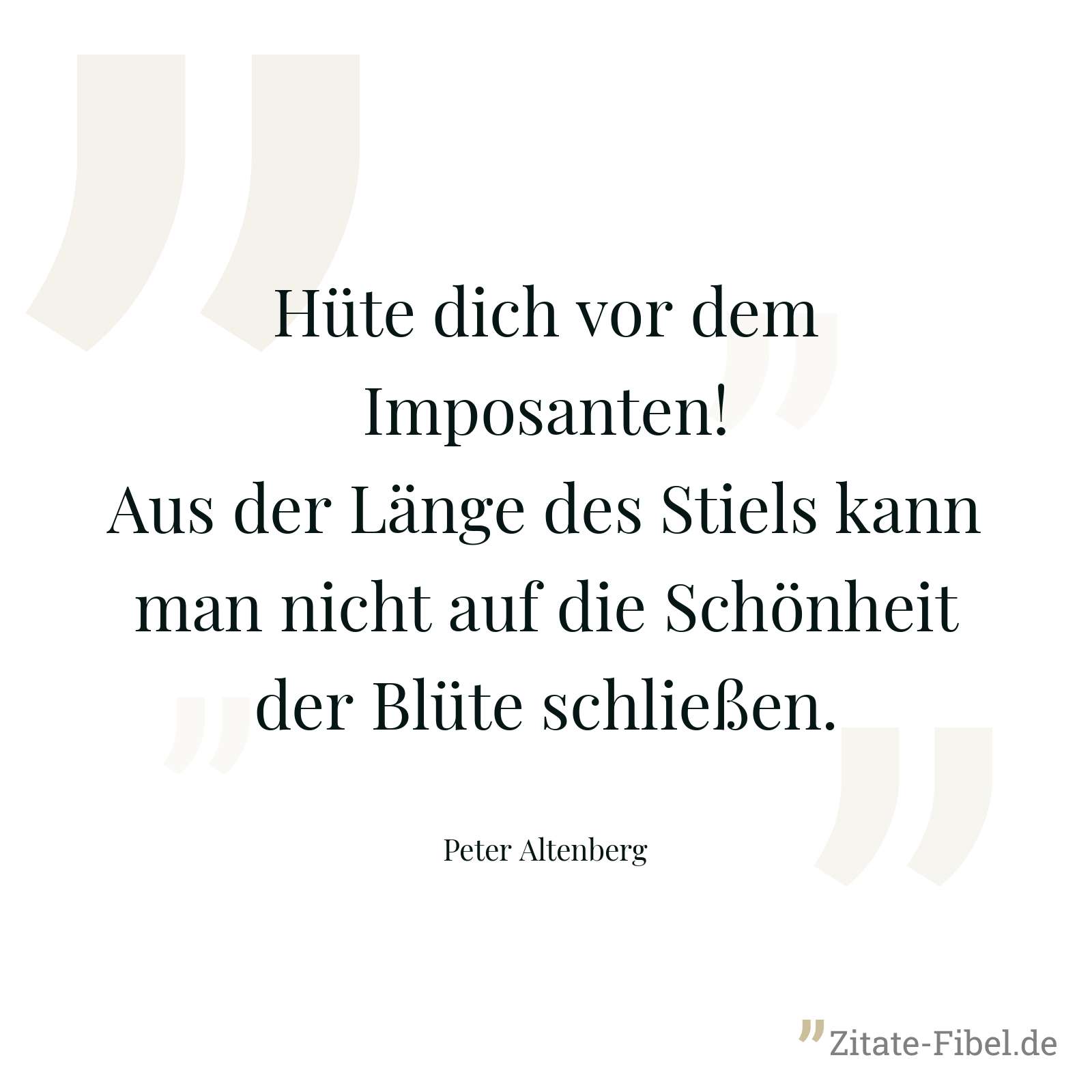 Hüte dich vor dem Imposanten! Aus der Länge des Stiels kann man nicht auf die Schönheit der Blüte schließen. - Peter Altenberg