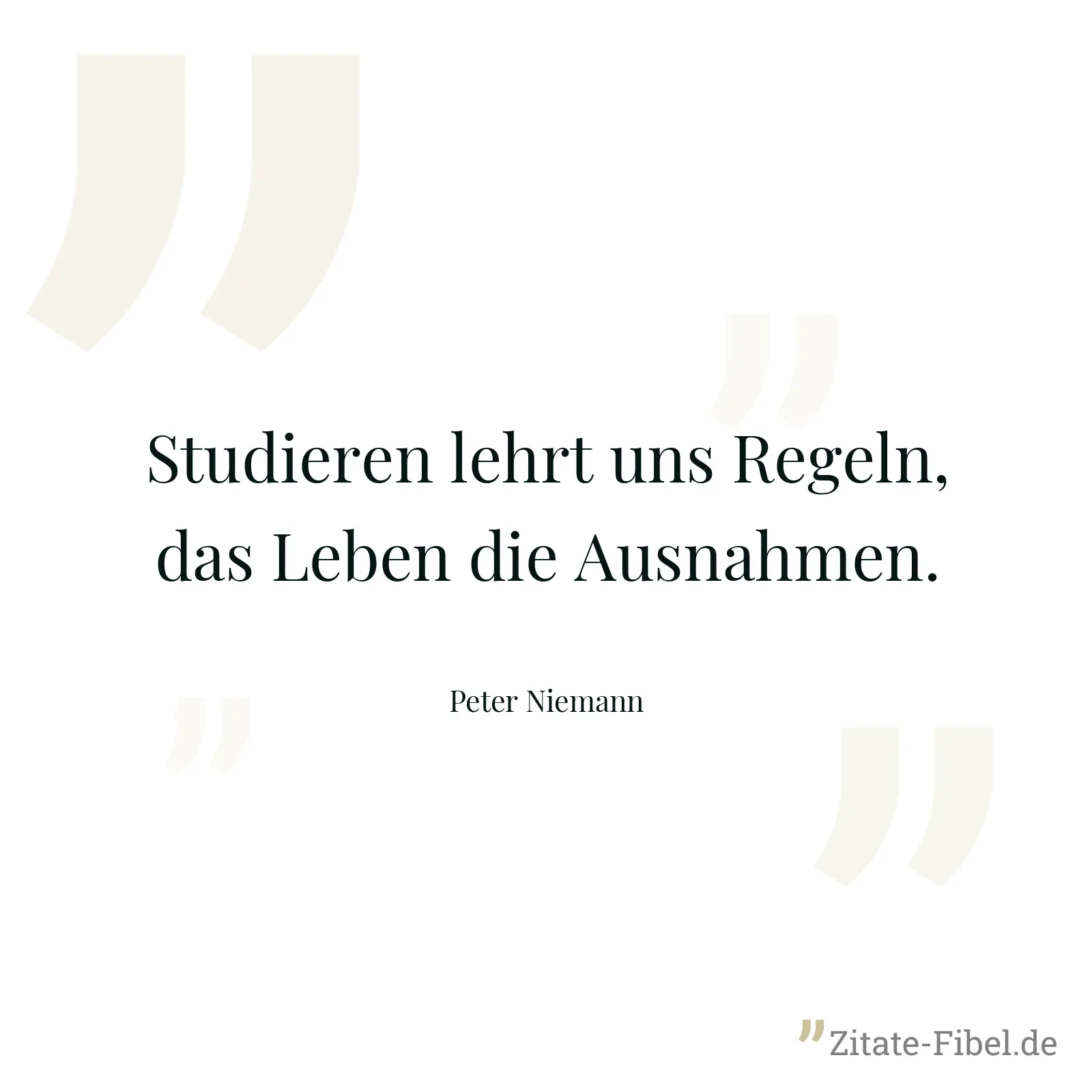 Studieren lehrt uns Regeln, das Leben die Ausnahmen. - Peter Niemann