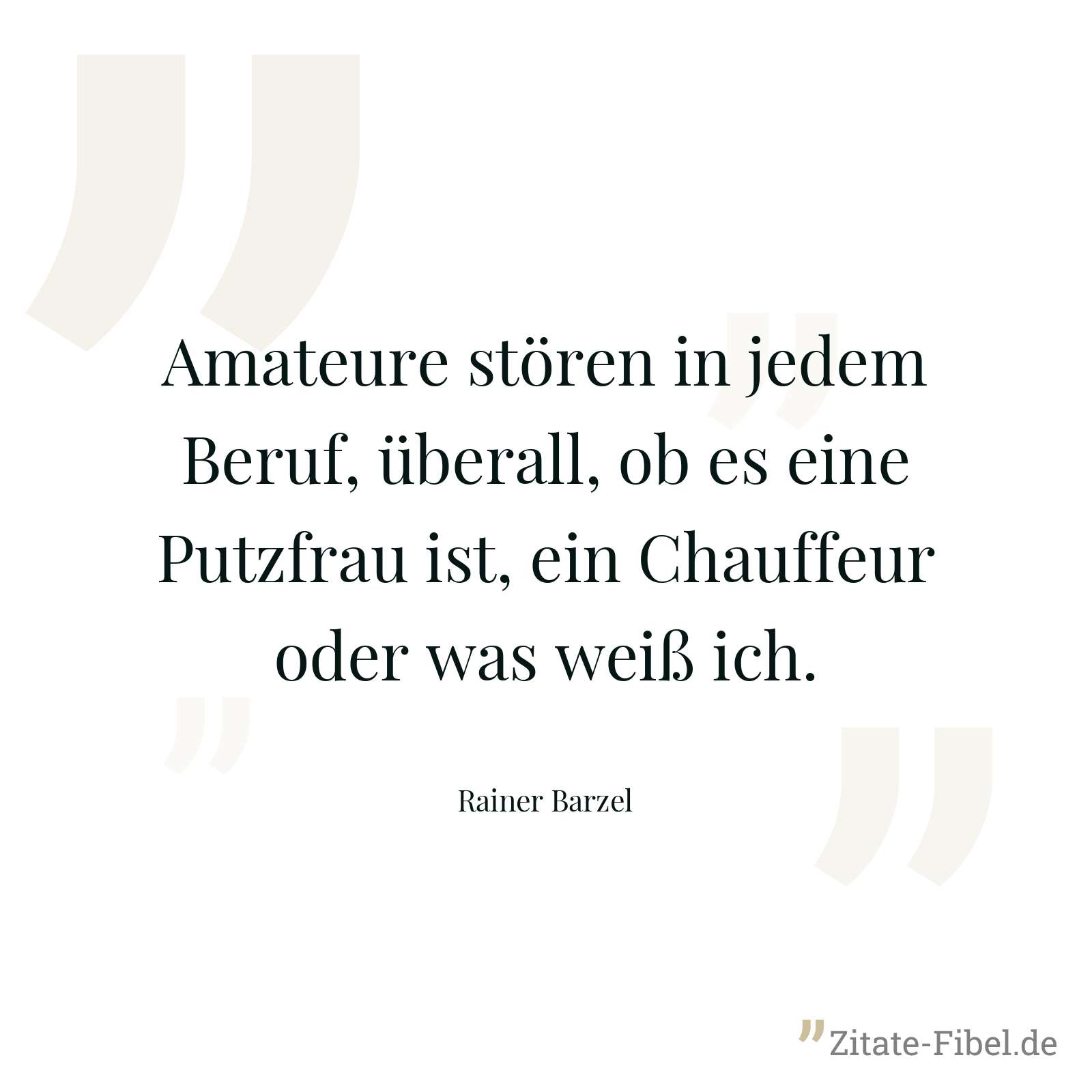 Amateure stören in jedem Beruf, überall, ob es eine Putzfrau ist, ein Chauffeur oder was weiß ich. - Rainer Barzel