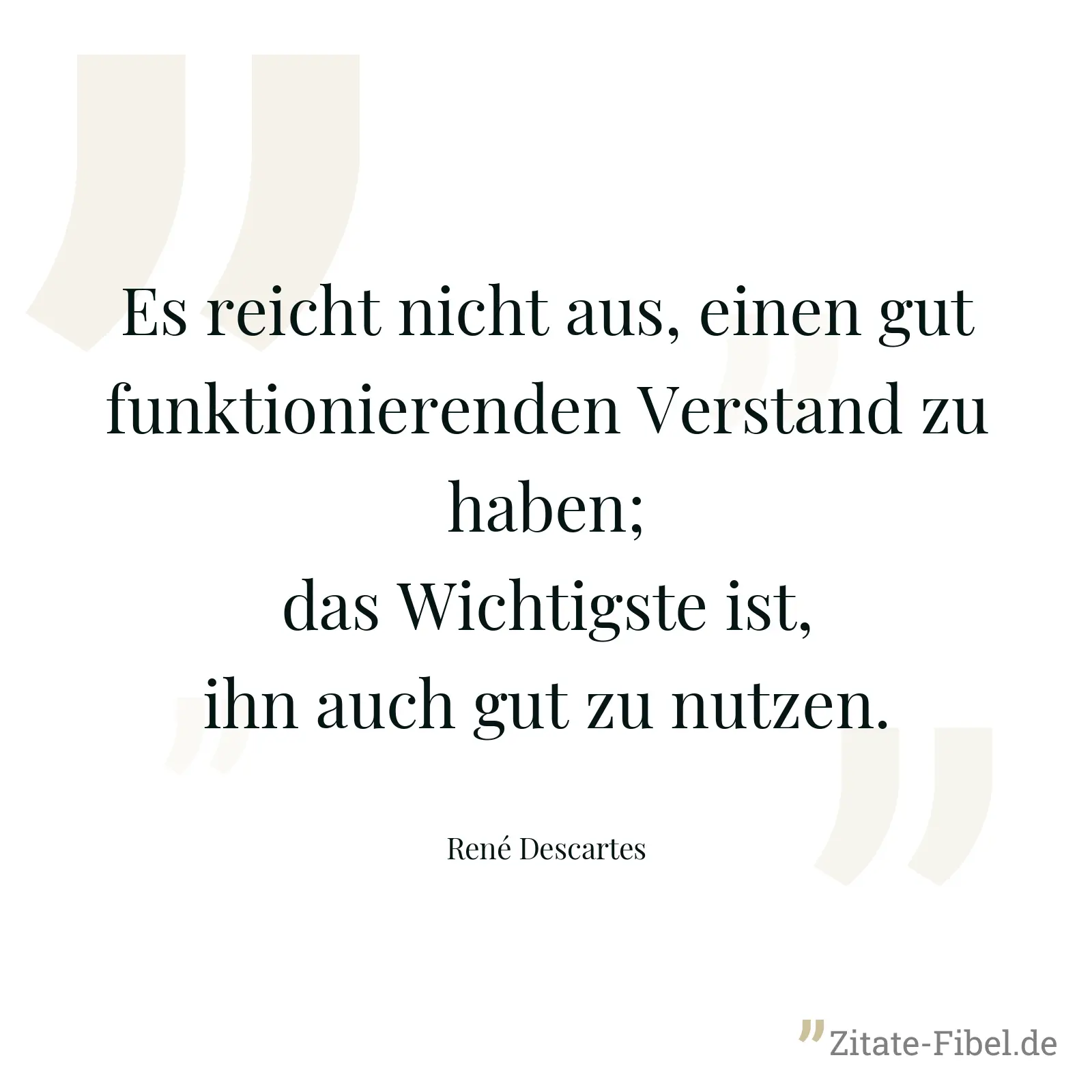 Es reicht nicht aus, einen gut funktionierenden Verstand zu haben; das Wichtigste ist, ihn auch gut zu nutzen. - René Descartes