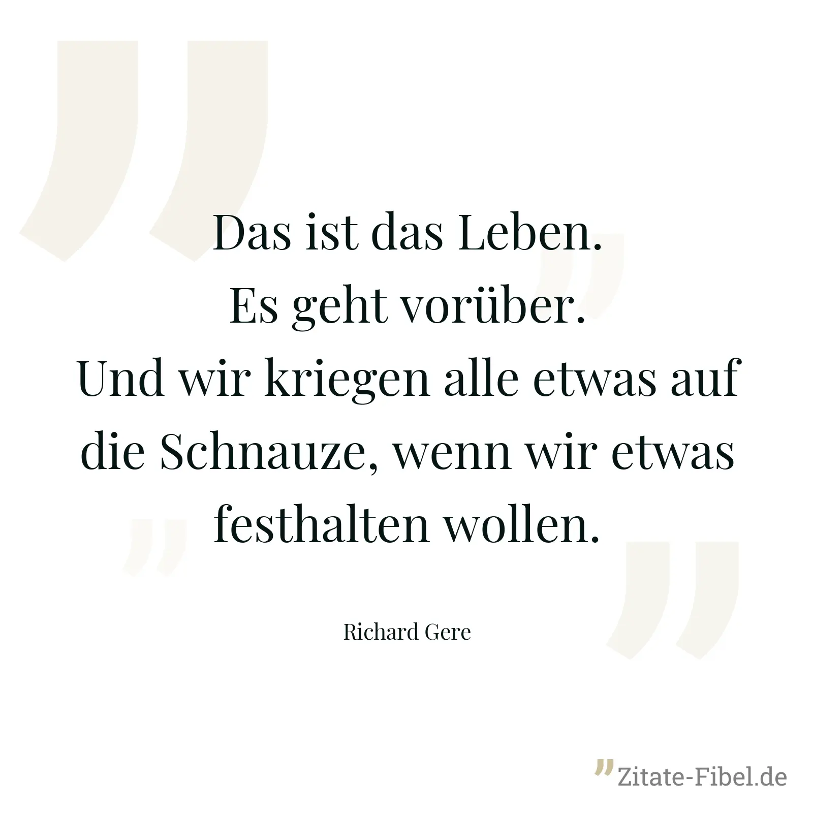 Das ist das Leben. Es geht vorüber. Und wir kriegen alle etwas auf die Schnauze, wenn wir etwas festhalten wollen. - Richard Gere