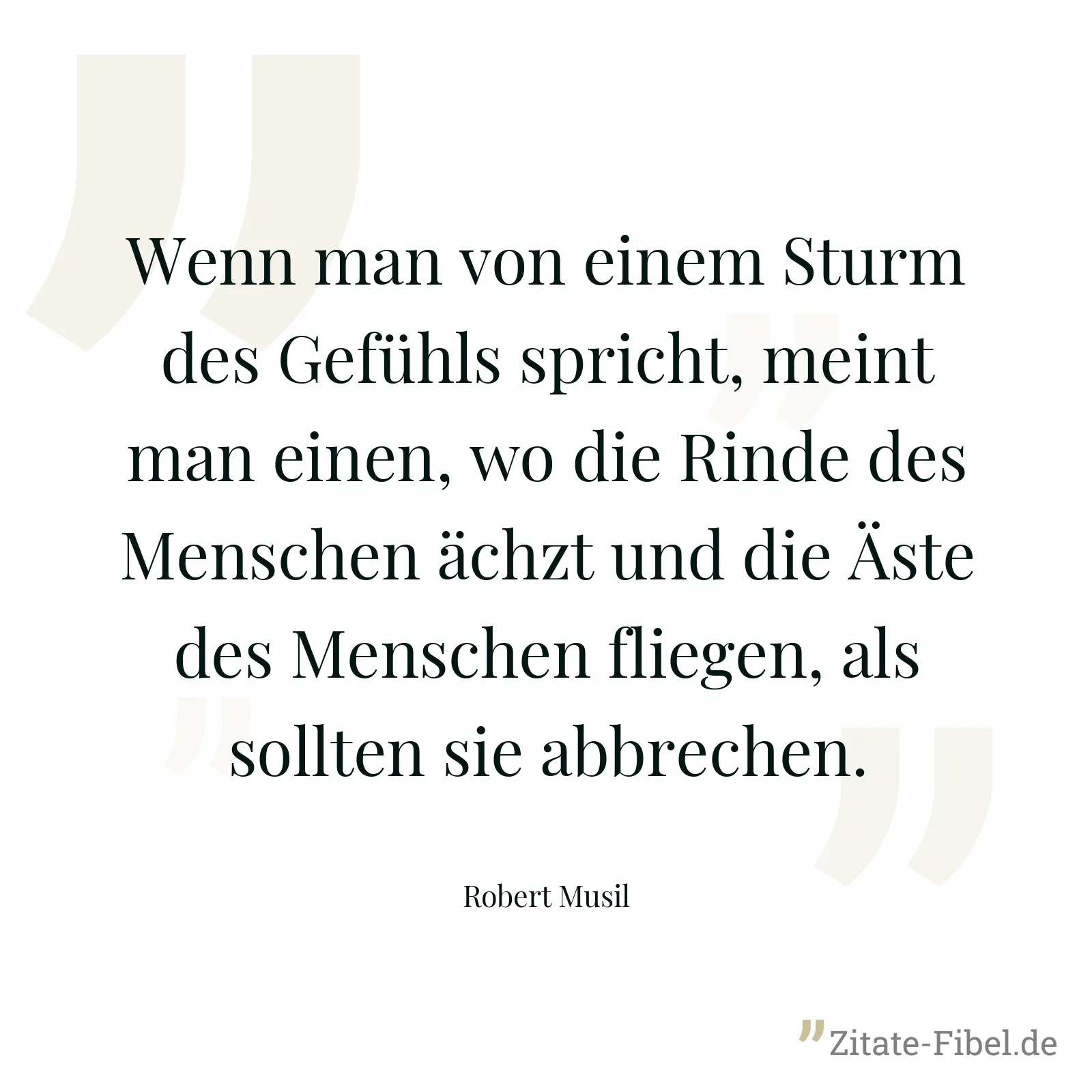 Wenn man von einem Sturm des Gefühls spricht, meint man einen, wo die Rinde des Menschen ächzt und die Äste des Menschen fliegen, als sollten sie abbrechen. - Robert Musil
