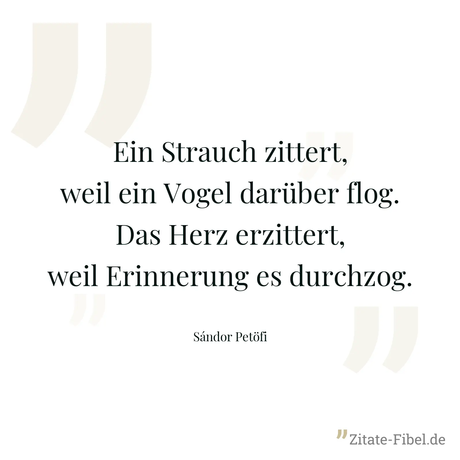 Ein Strauch zittert, weil ein Vogel darüber flog. Das Herz erzittert, weil Erinnerung es durchzog. - Sándor Petöfi
