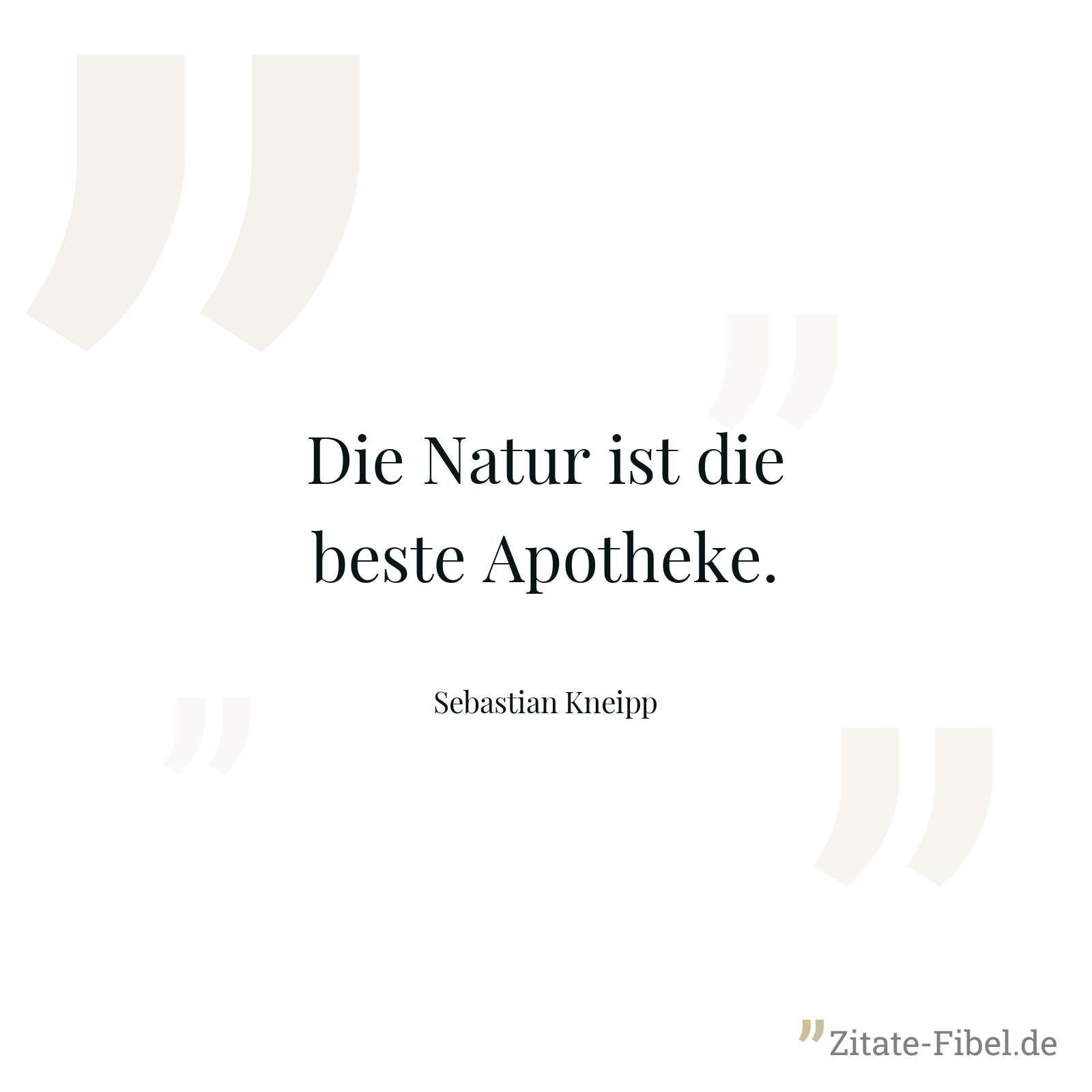 Sebastian Kneipp Zitate - Zitat-Fibel