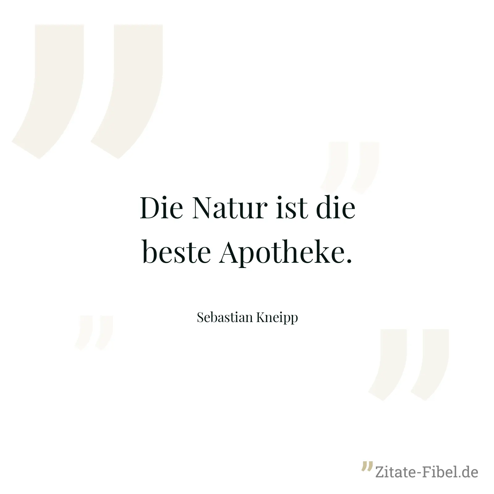 Die Natur ist die beste Apotheke. - Sebastian Kneipp