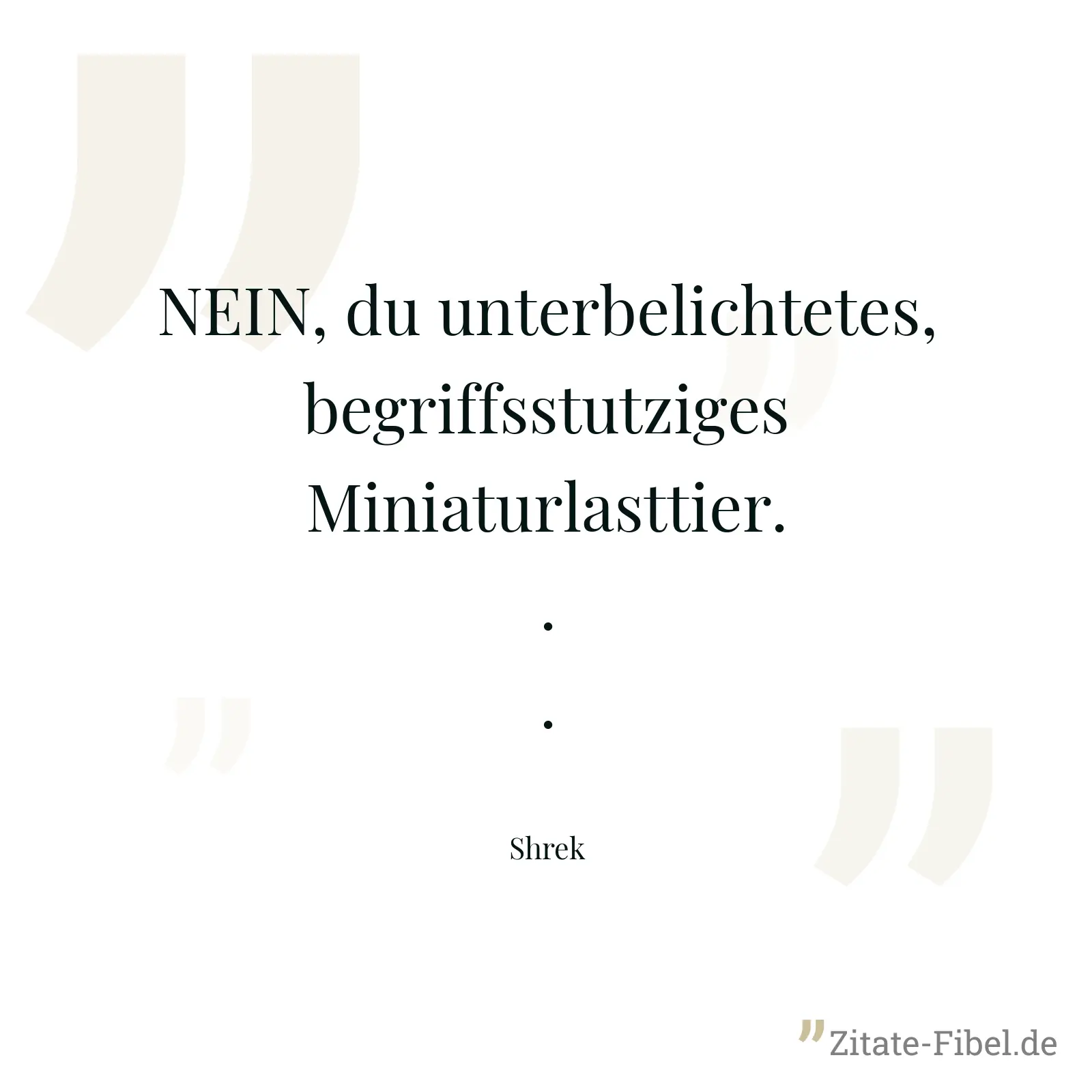 NEIN, du unterbelichtetes, begriffsstutziges Miniaturlasttier... - Shrek