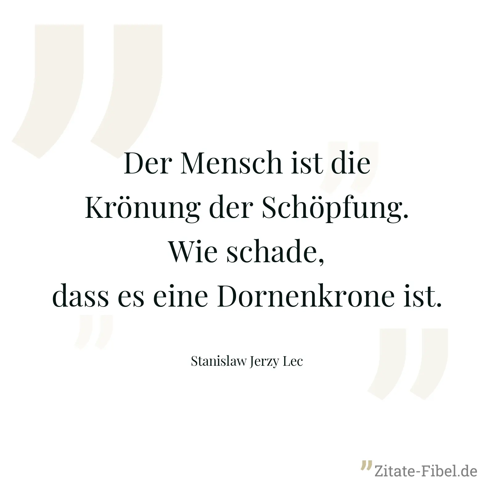 Der Mensch ist die Krönung der Schöpfung. Wie schade, dass es eine Dornenkrone ist. - Stanislaw Jerzy Lec