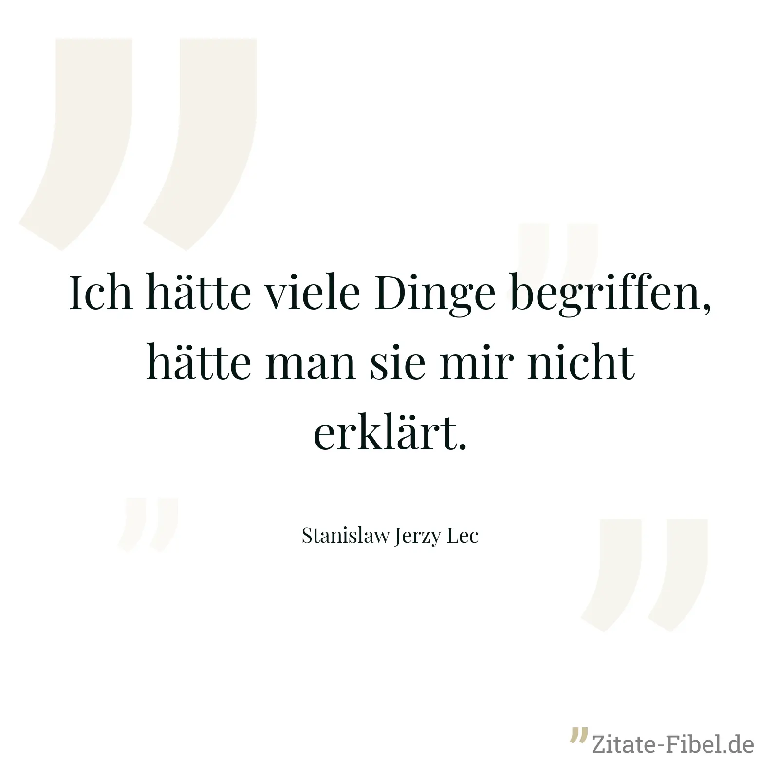 Ich hätte viele Dinge begriffen, hätte man sie mir nicht erklärt. - Stanislaw Jerzy Lec