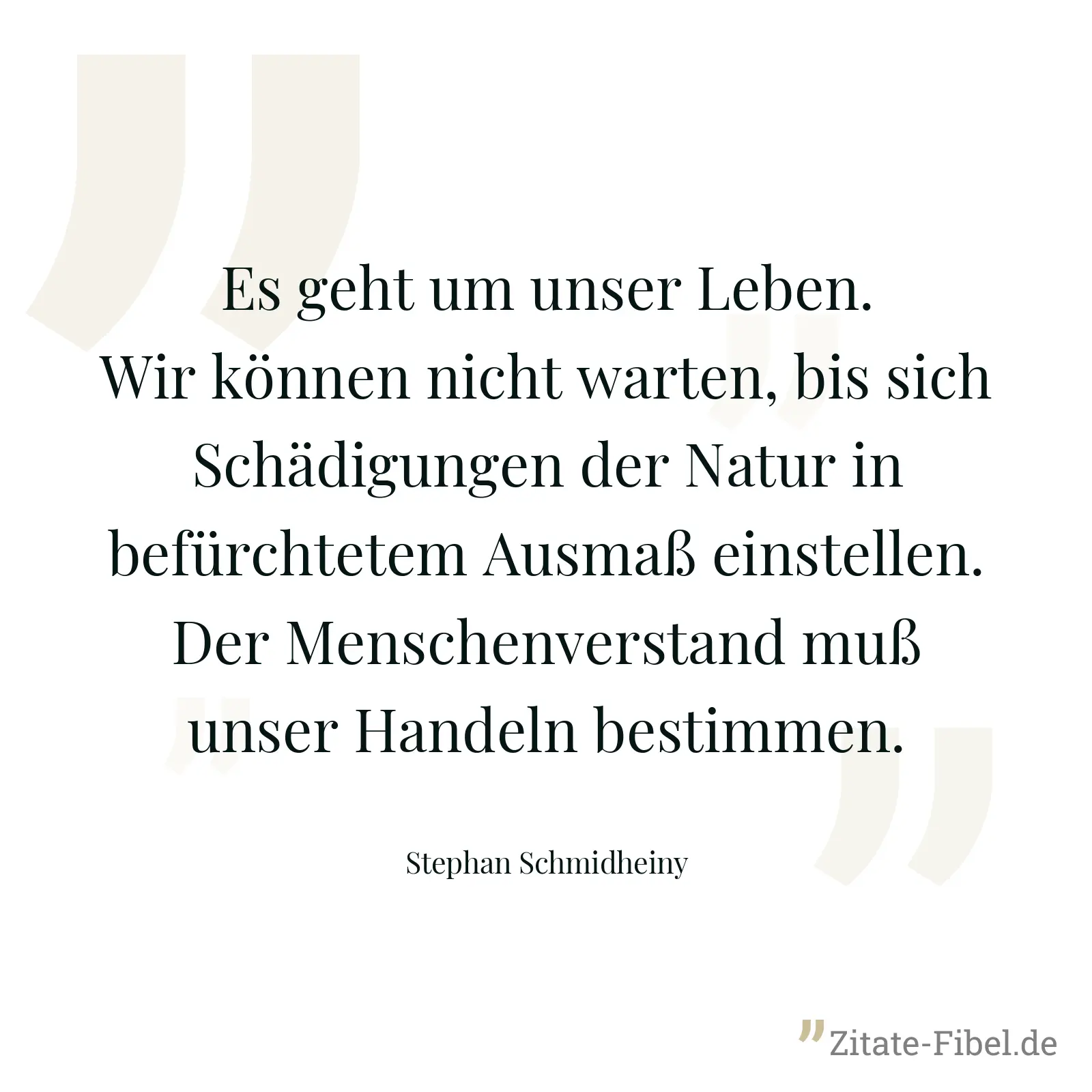 Es geht um unser Leben. Wir können nicht warten, bis sich Schädigungen der Natur in befürchtetem Ausmaß einstellen. Der Menschenverstand muß unser Handeln bestimmen. - Stephan Schmidheiny