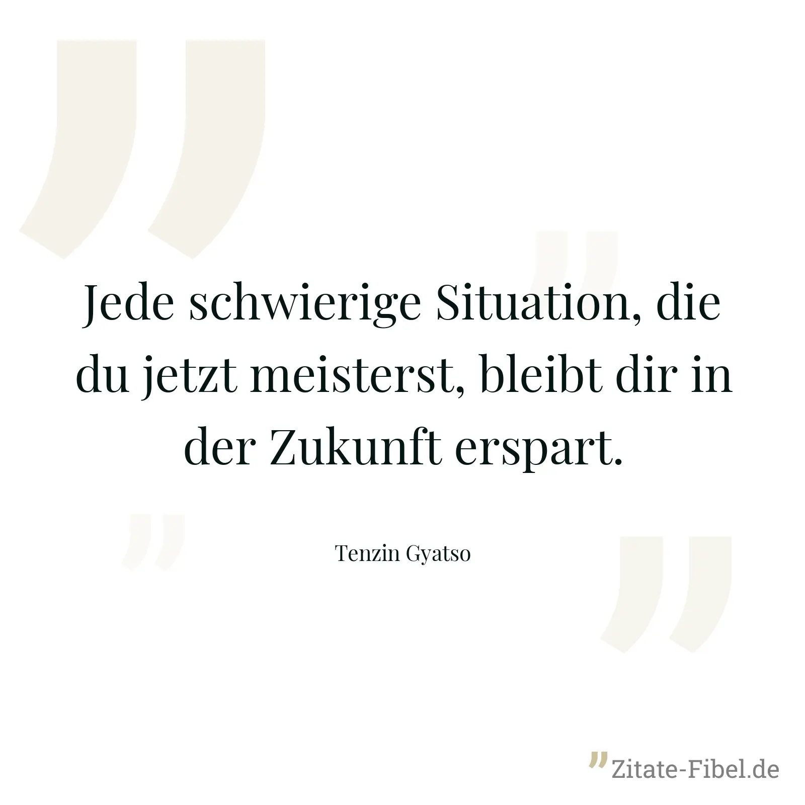 Jede schwierige Situation, die du jetzt meisterst, bleibt dir in der Zukunft erspart. - Tenzin Gyatso