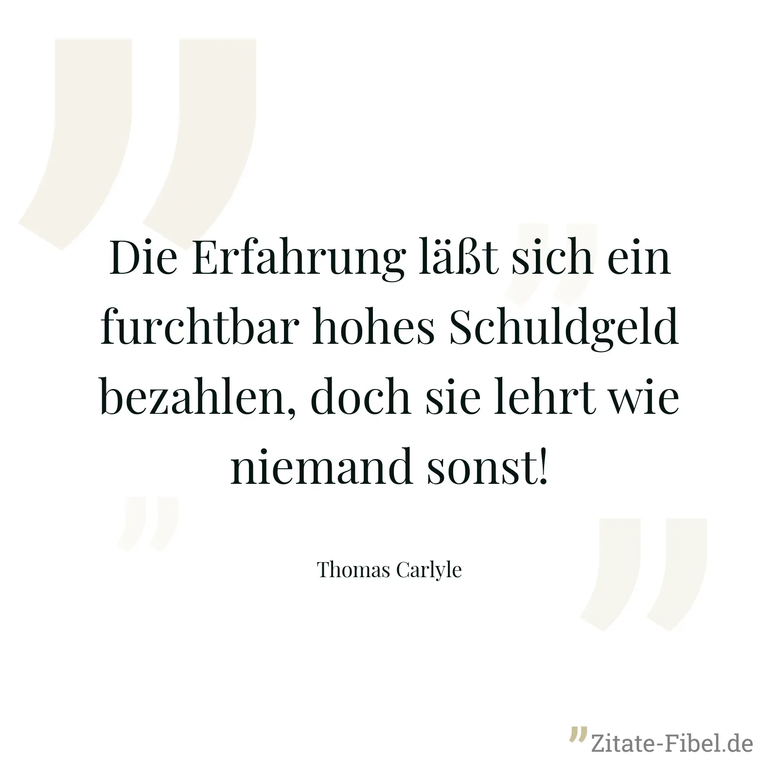 Die Erfahrung läßt sich ein furchtbar hohes Schuldgeld bezahlen, doch sie lehrt wie niemand sonst! - Thomas Carlyle