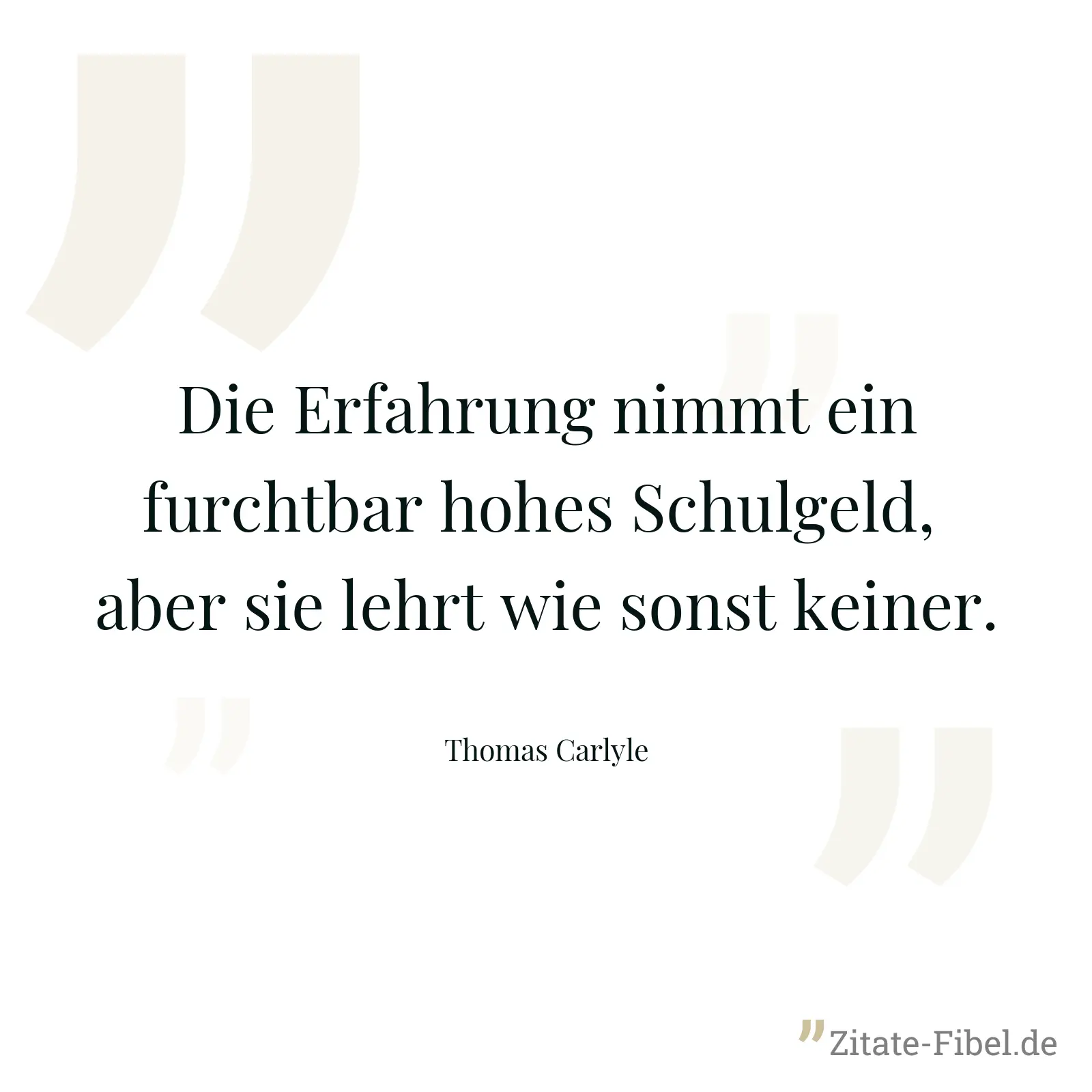 Die Erfahrung nimmt ein furchtbar hohes Schulgeld,  aber sie lehrt wie sonst keiner. - Thomas Carlyle