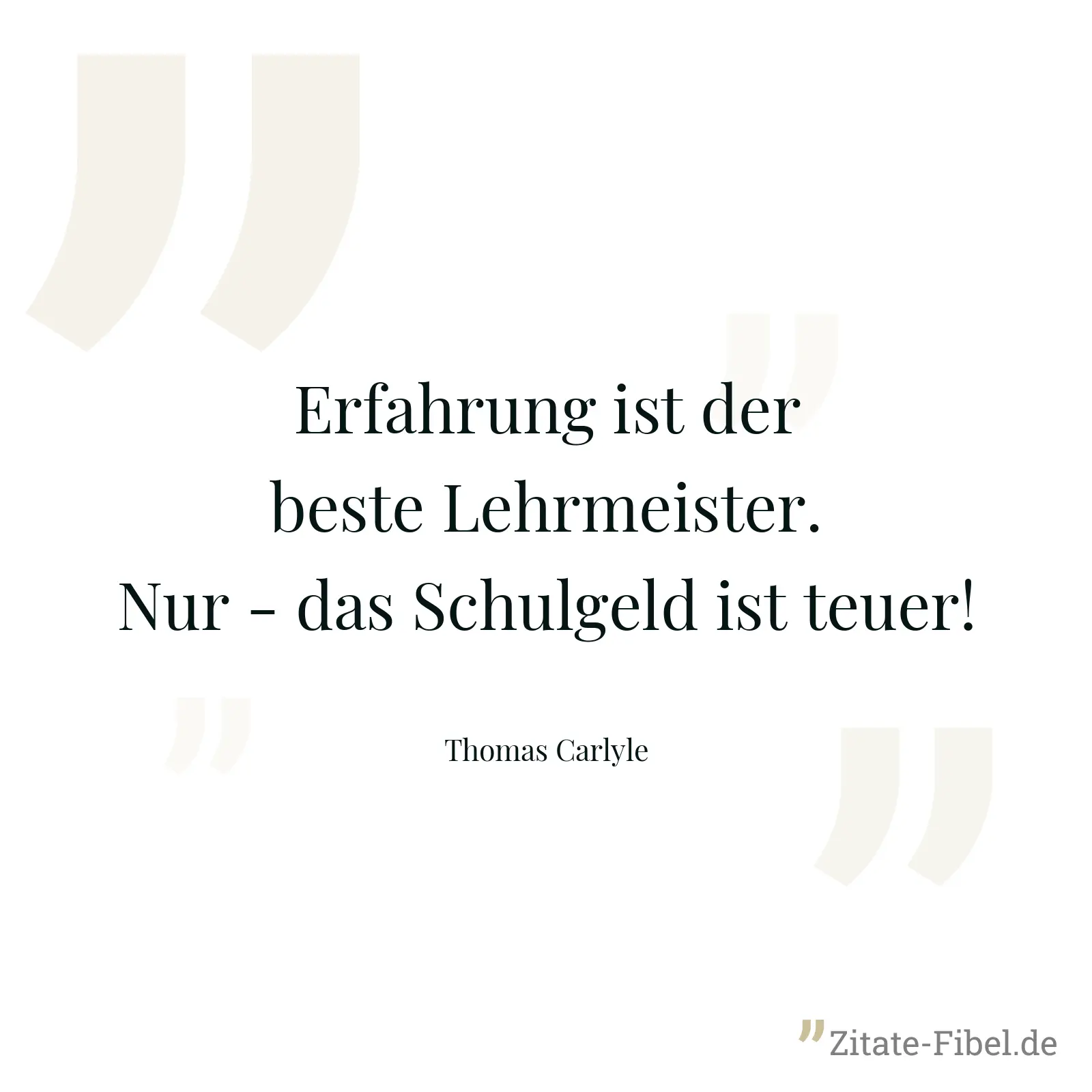Erfahrung ist der beste Lehrmeister. Nur - das Schulgeld ist teuer! - Thomas Carlyle